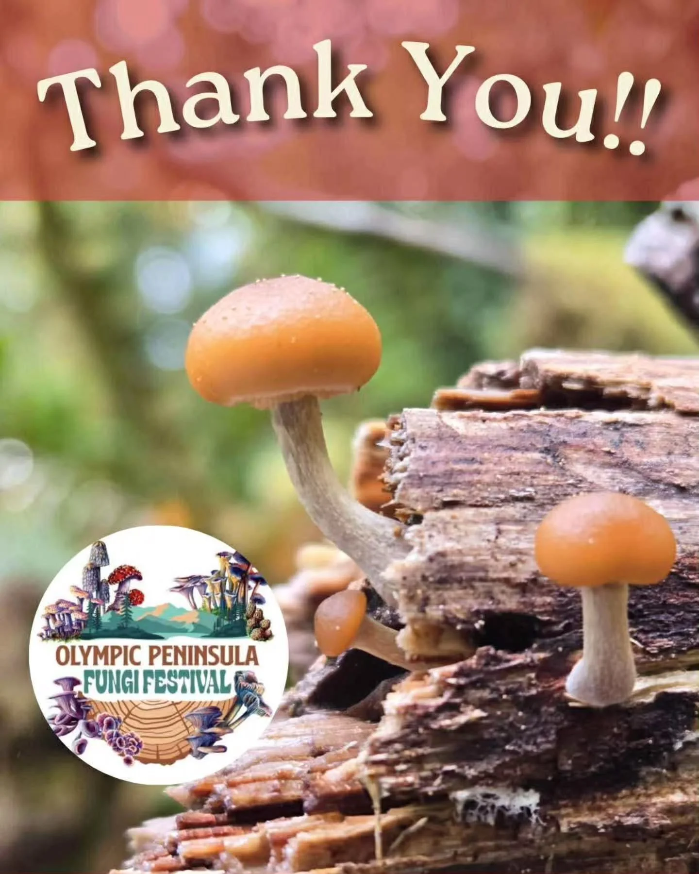 Thank you to Olympic Peninsula Fungi Fest!
VIDEO RECAP COMING SOON!!!!
What an amazing weekend! It was an epic adventure like no other! I can't wait to participate again and keep making new friends in the process. So amazing to see friends new and o