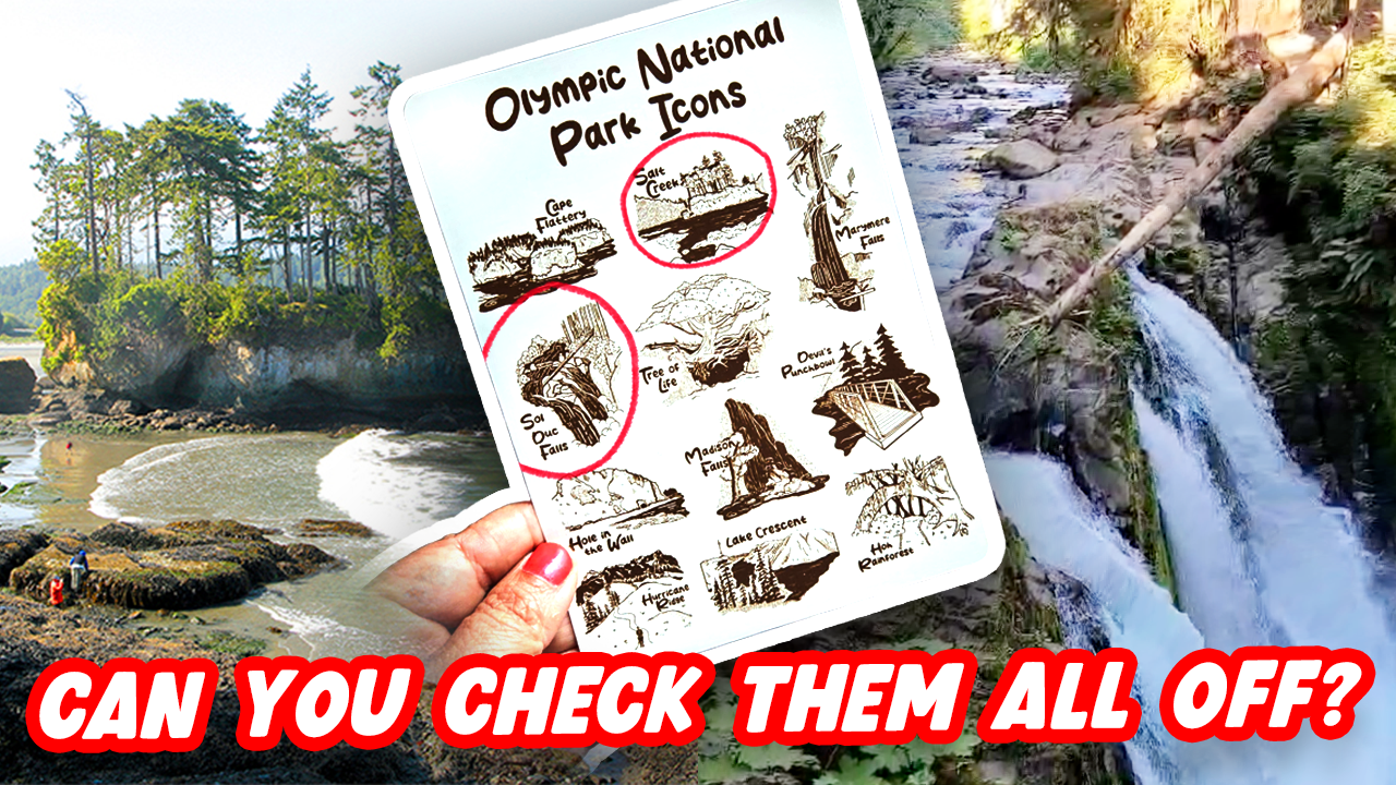ONP icons thumbnail.png