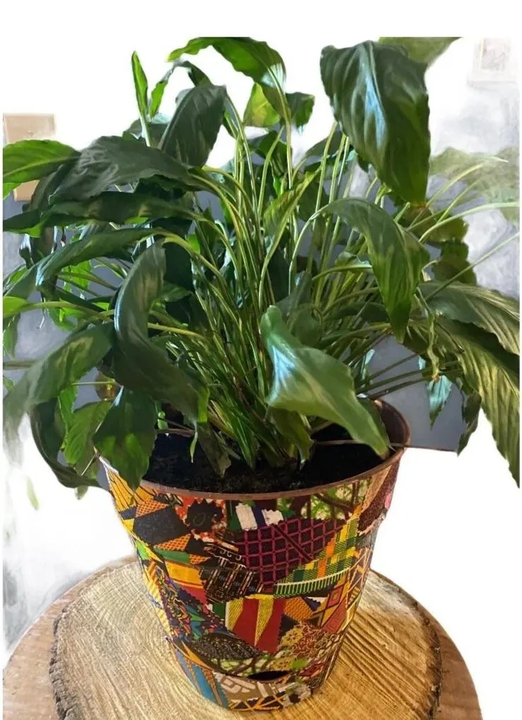 Image 36.jpg