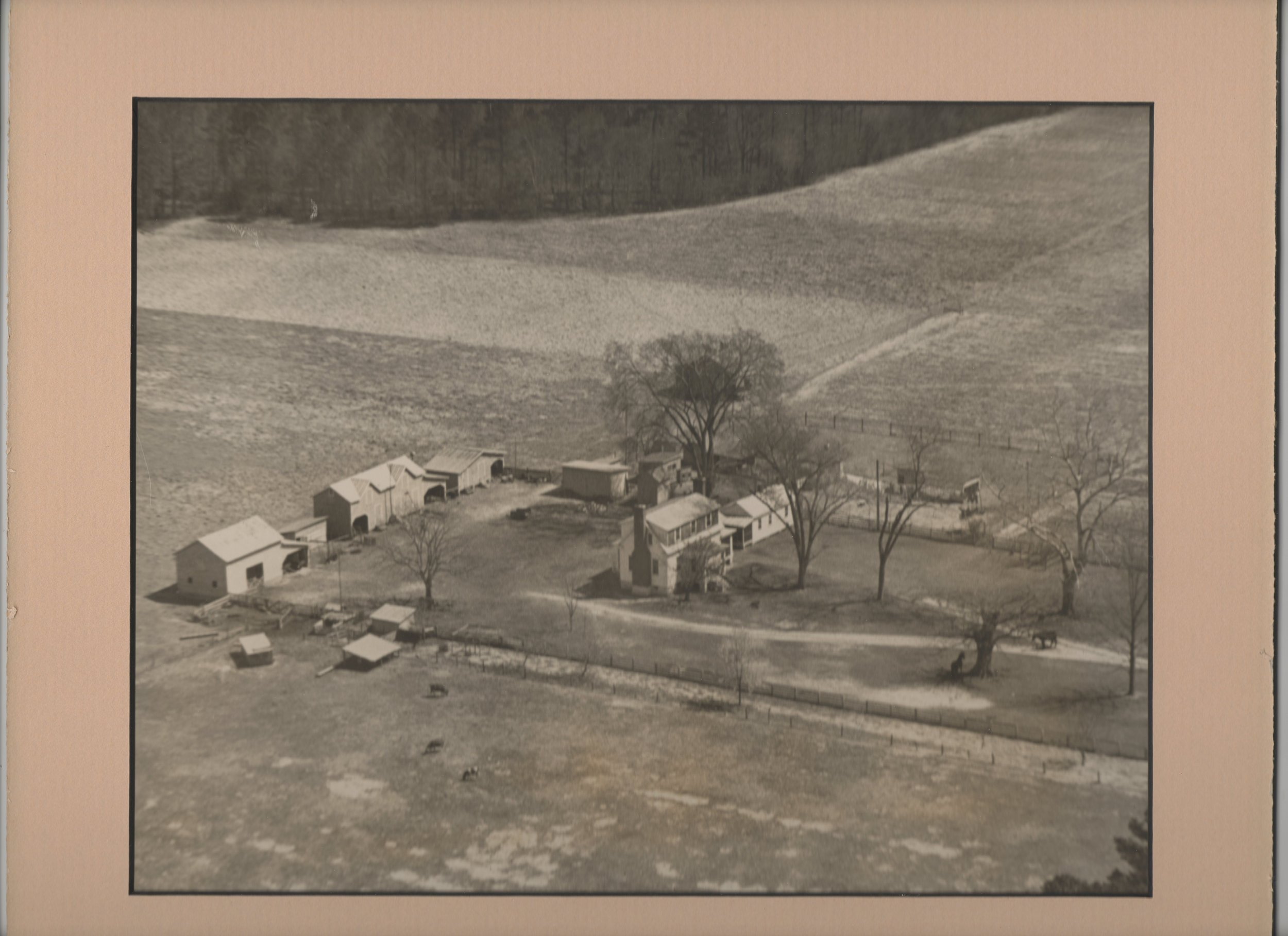 Wagner farm c1960 site of Horton Cemetery Pretlow family photo.jpg
