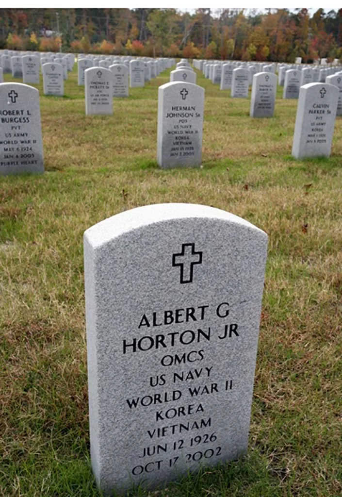 jhs8-veterans-day-ikons.jpg