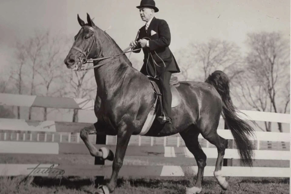 mr-nick-wright-on-horse-wright-family-photo.jpg-nggid042691-ngg0dyn-960x640x100-00f0w010c011r110f110r010t010.jpg