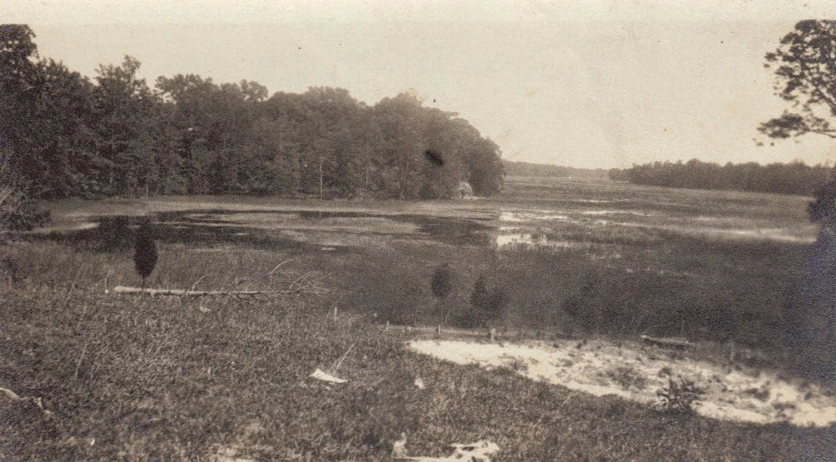 Image1-5.jpg