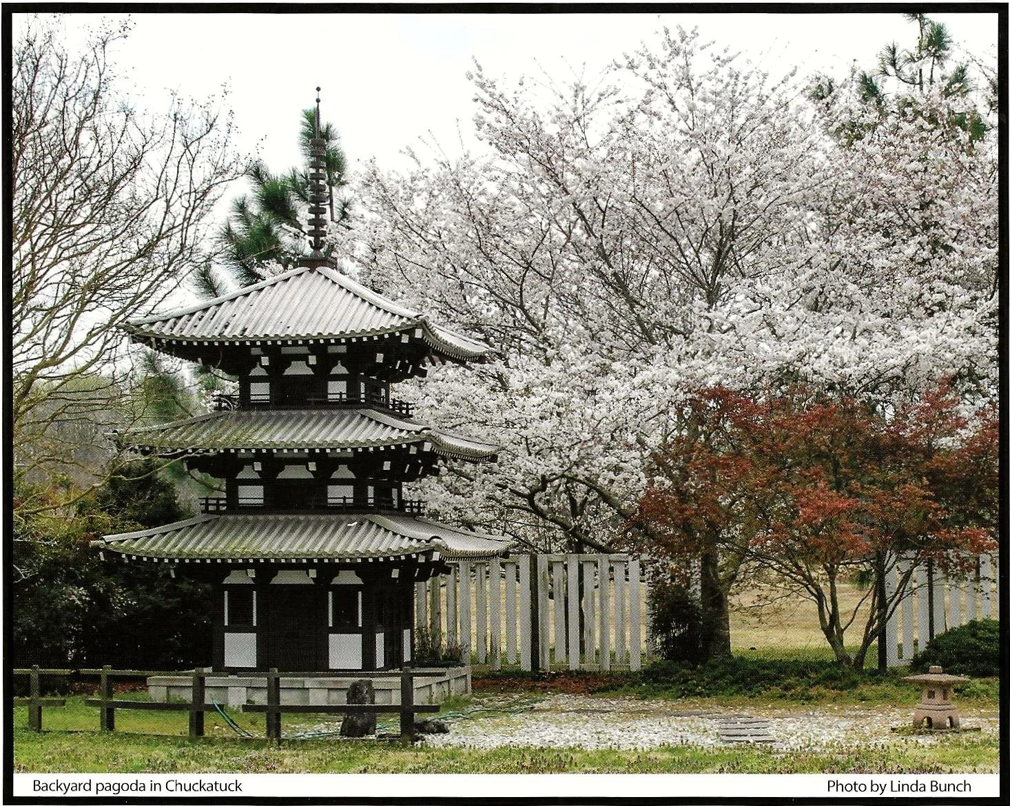 Pagoda photo Linda Bunch.jpg