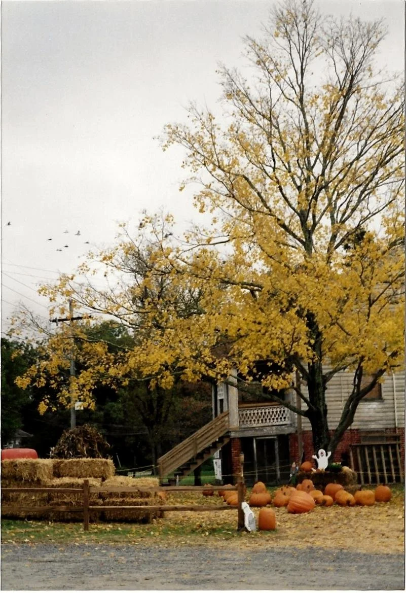 Scan Spady house side 1997.jpg