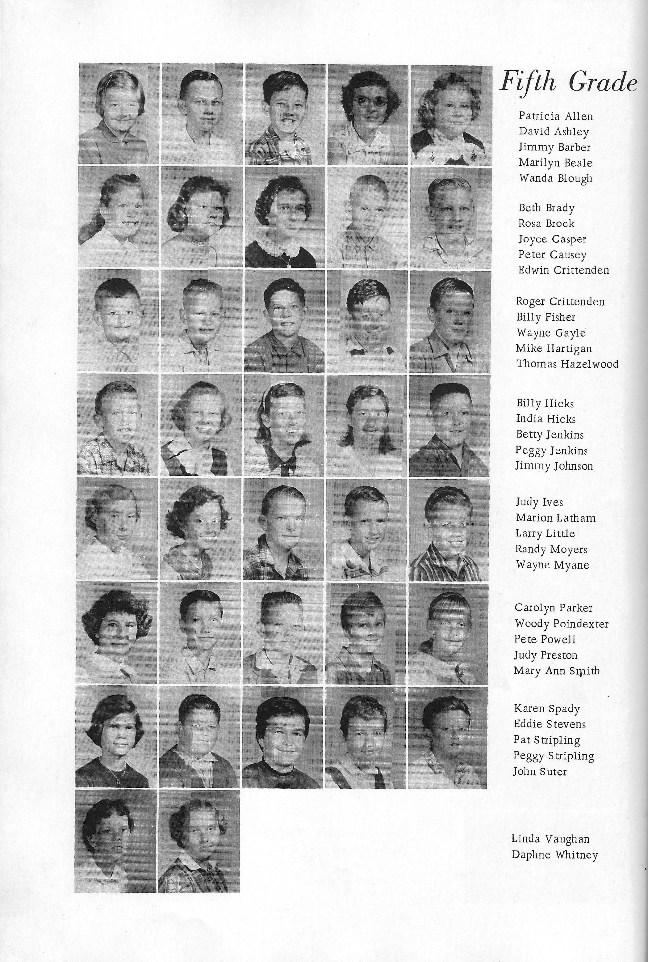 Scan_20260217 (36).png