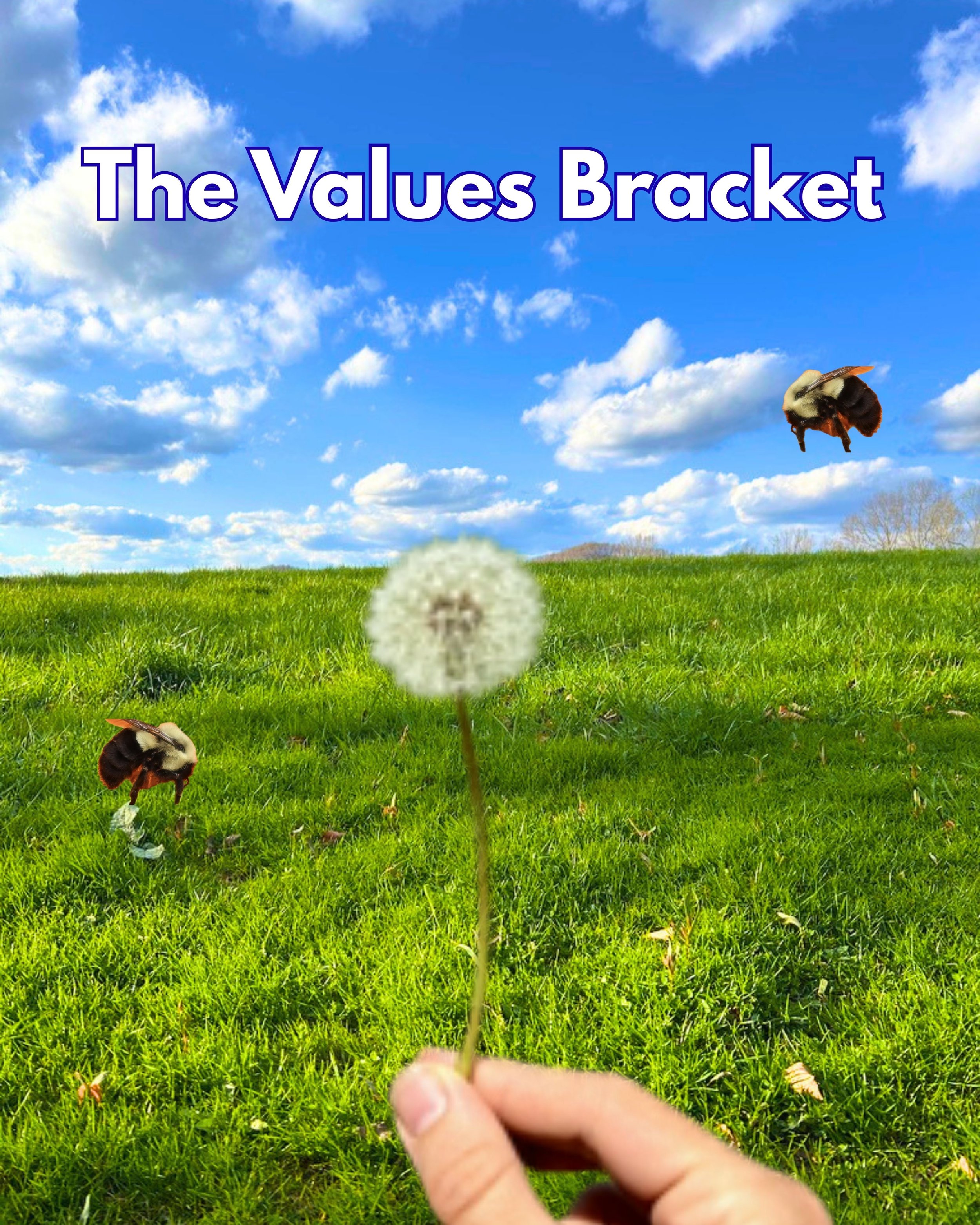 The Values Bracket!