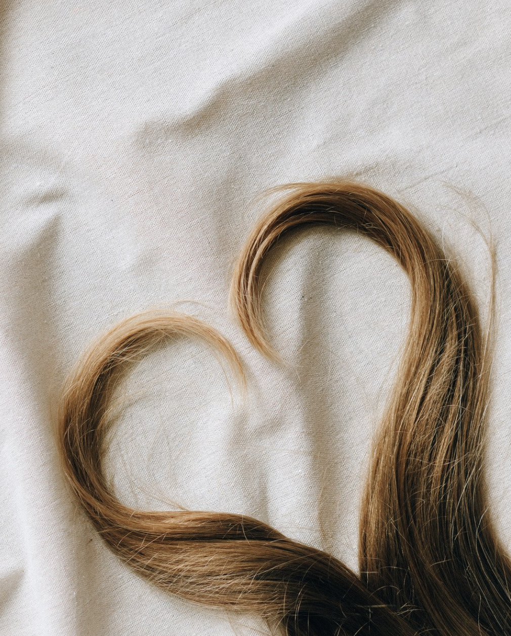 The Beauty Brief: Volume 2