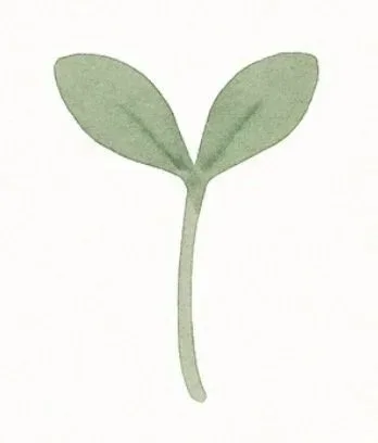 Illustration of a small green sprout with two leaves.