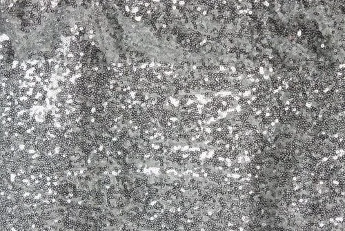 Silver Sequin