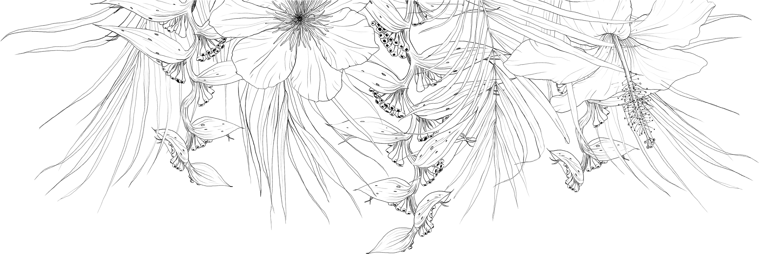 aloha media wedding flower graphic