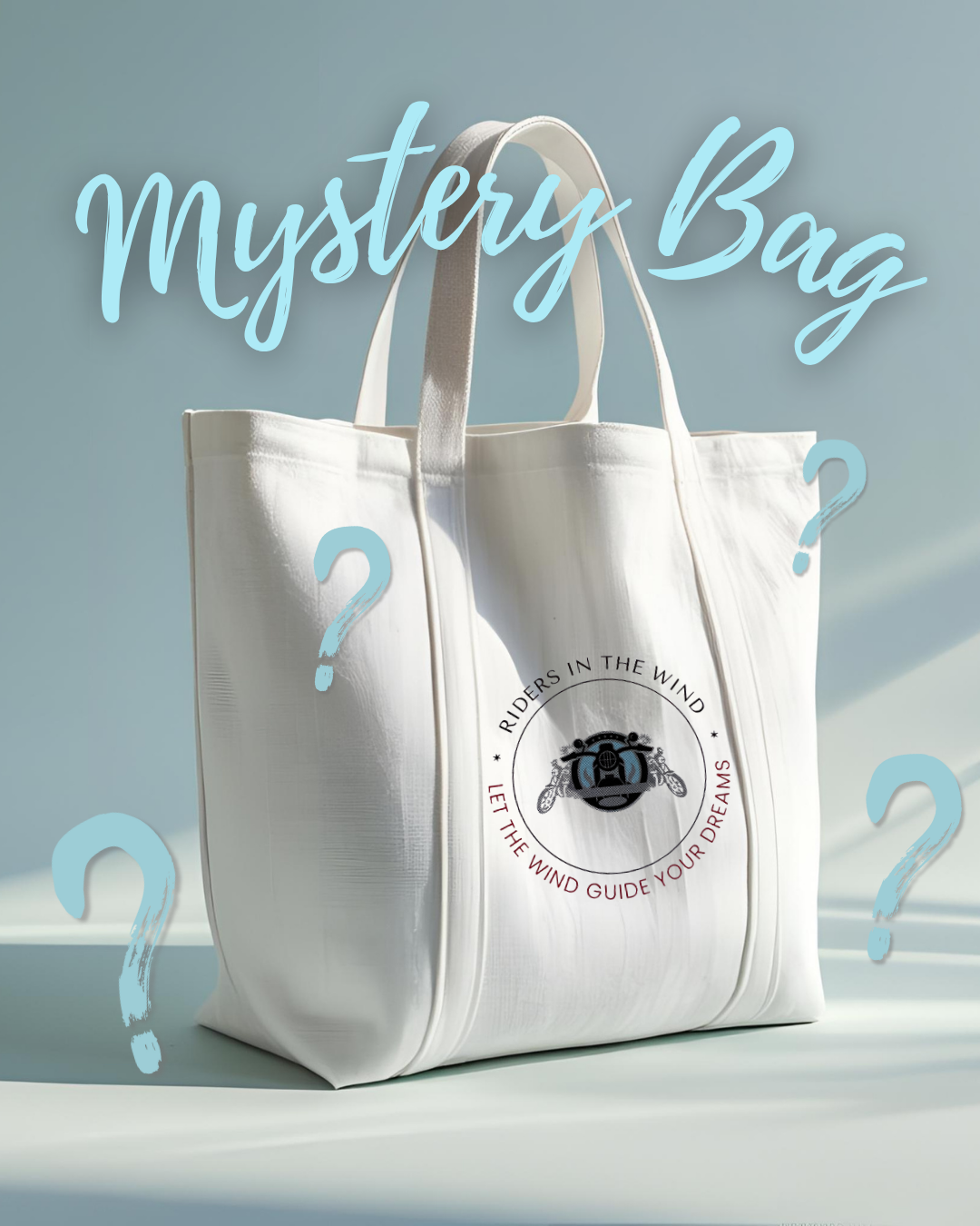 Large Mystery Bag