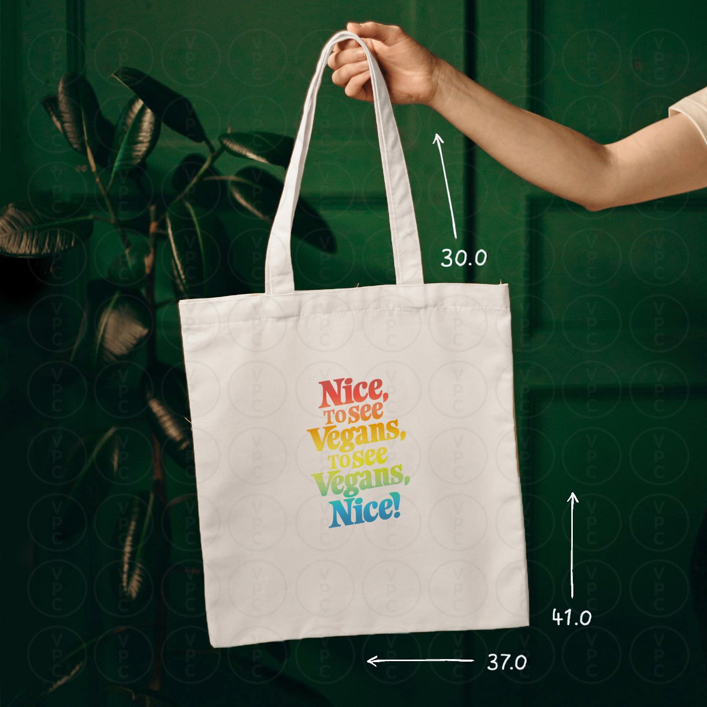 (code 064:NIC) . NICETO
