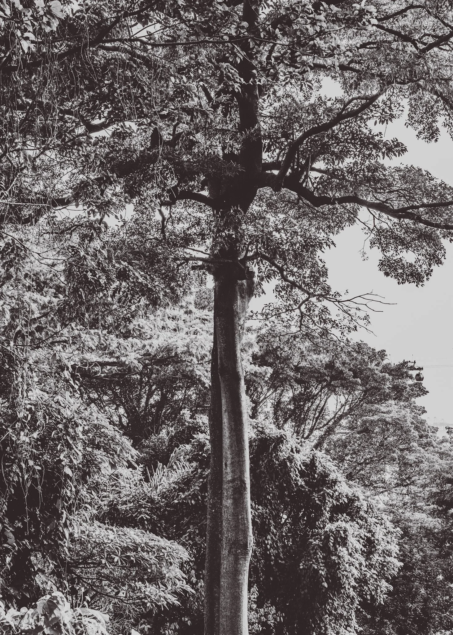 DSCF9513.jpg