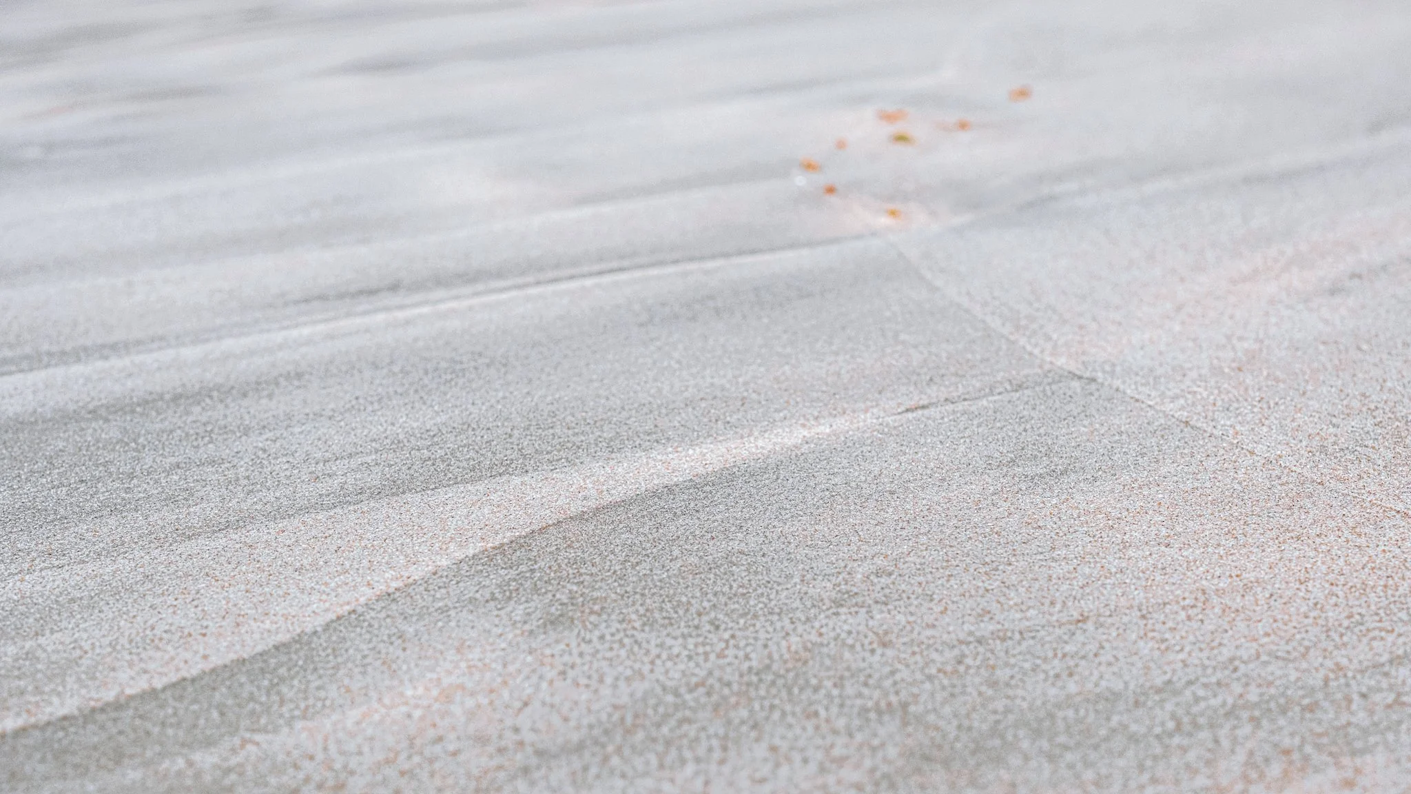 WHAT YOU LEFT BEHIND, Pt. 1