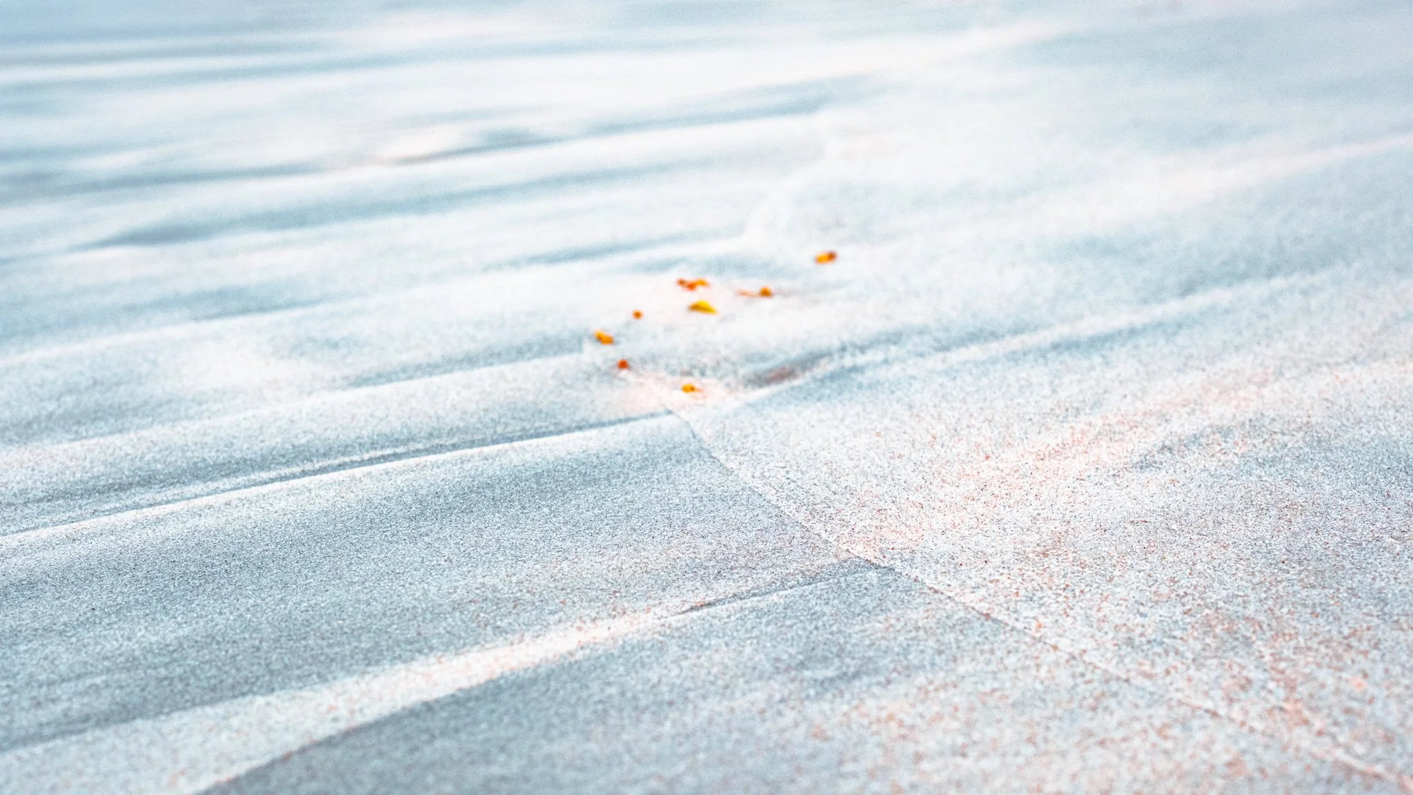 WHAT YOU LEFT BEHIND