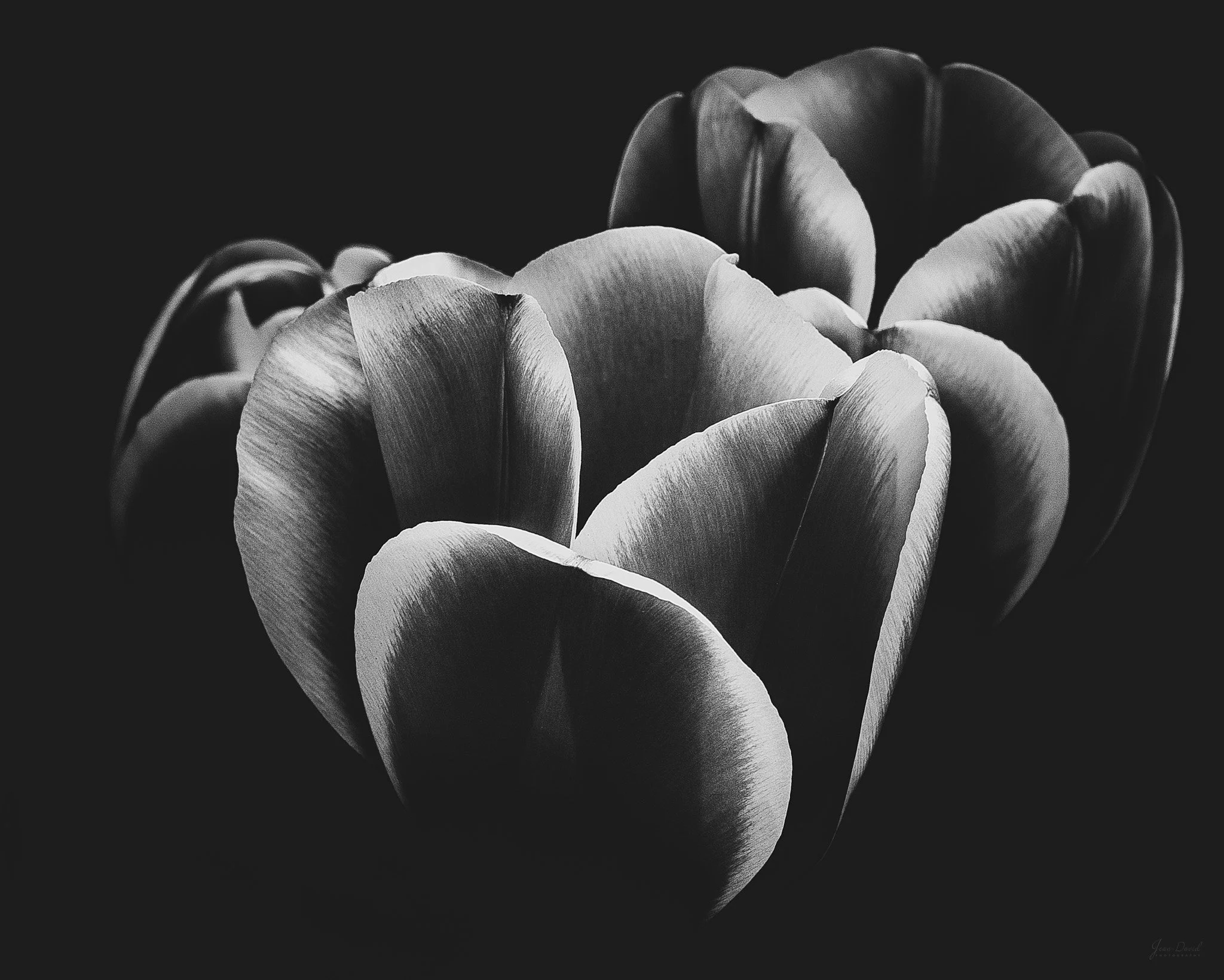 YÉLI | Confident | Sûre