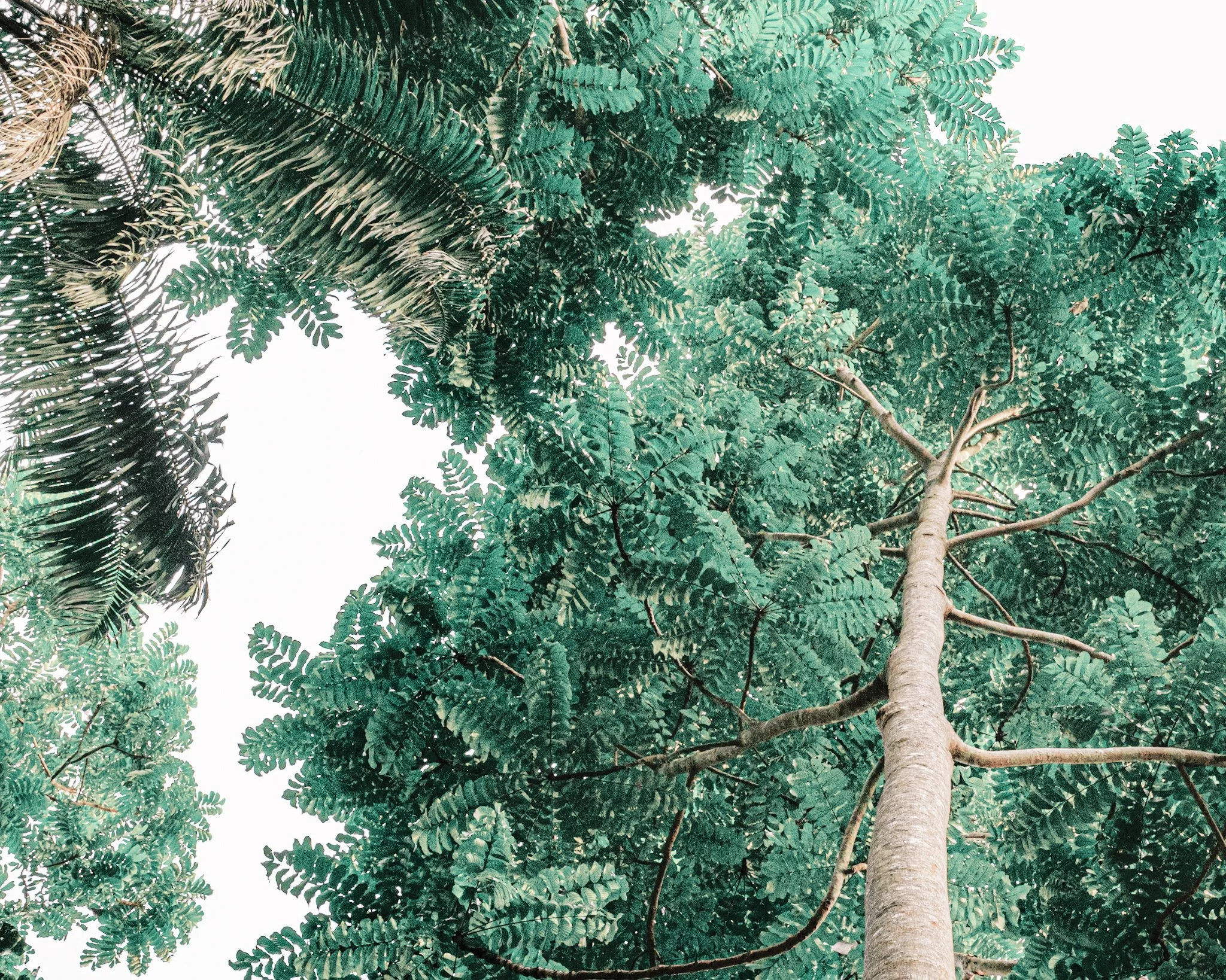 WATCHING YOU WATCHING ME