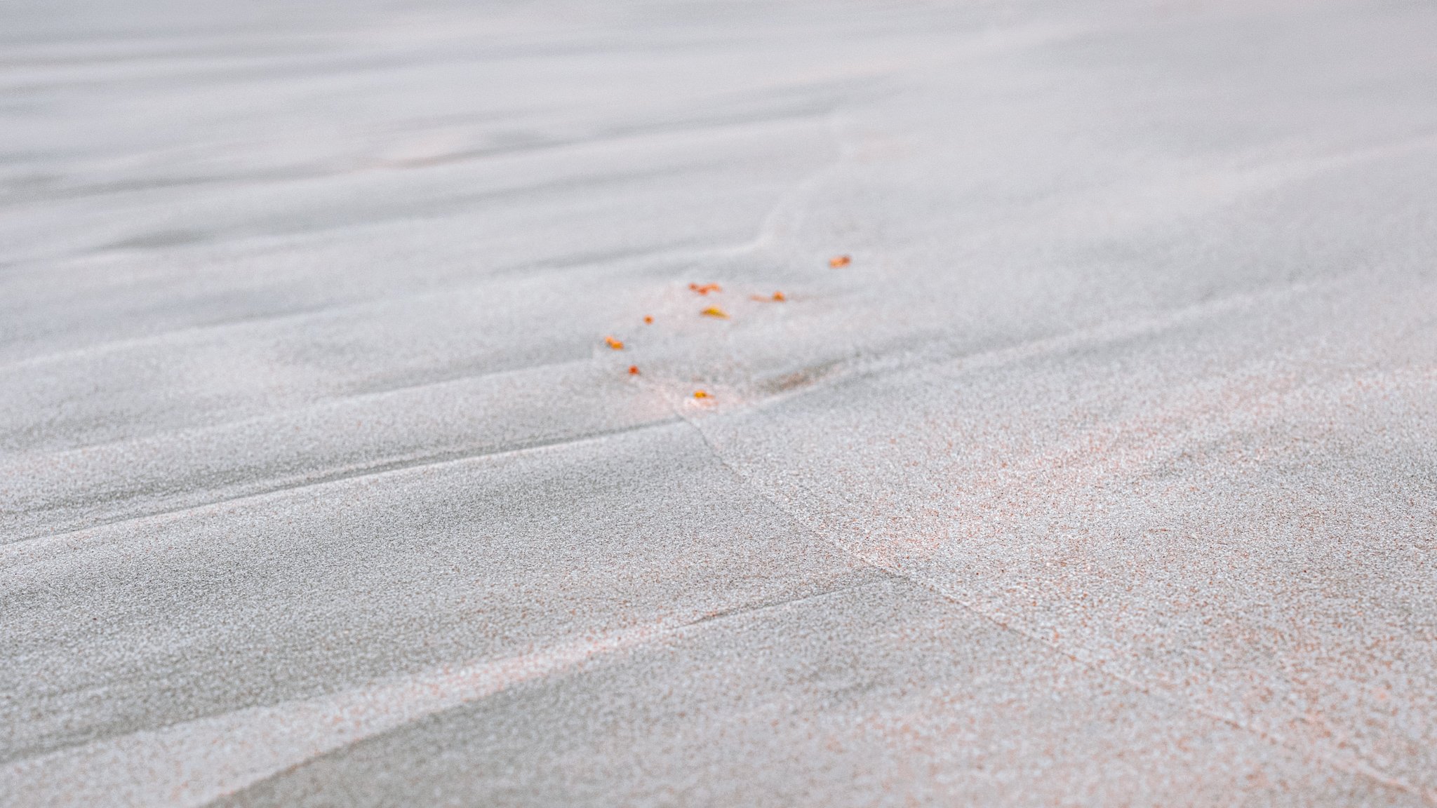 WHAT YOU LEFT BEHIND, Pt. 2