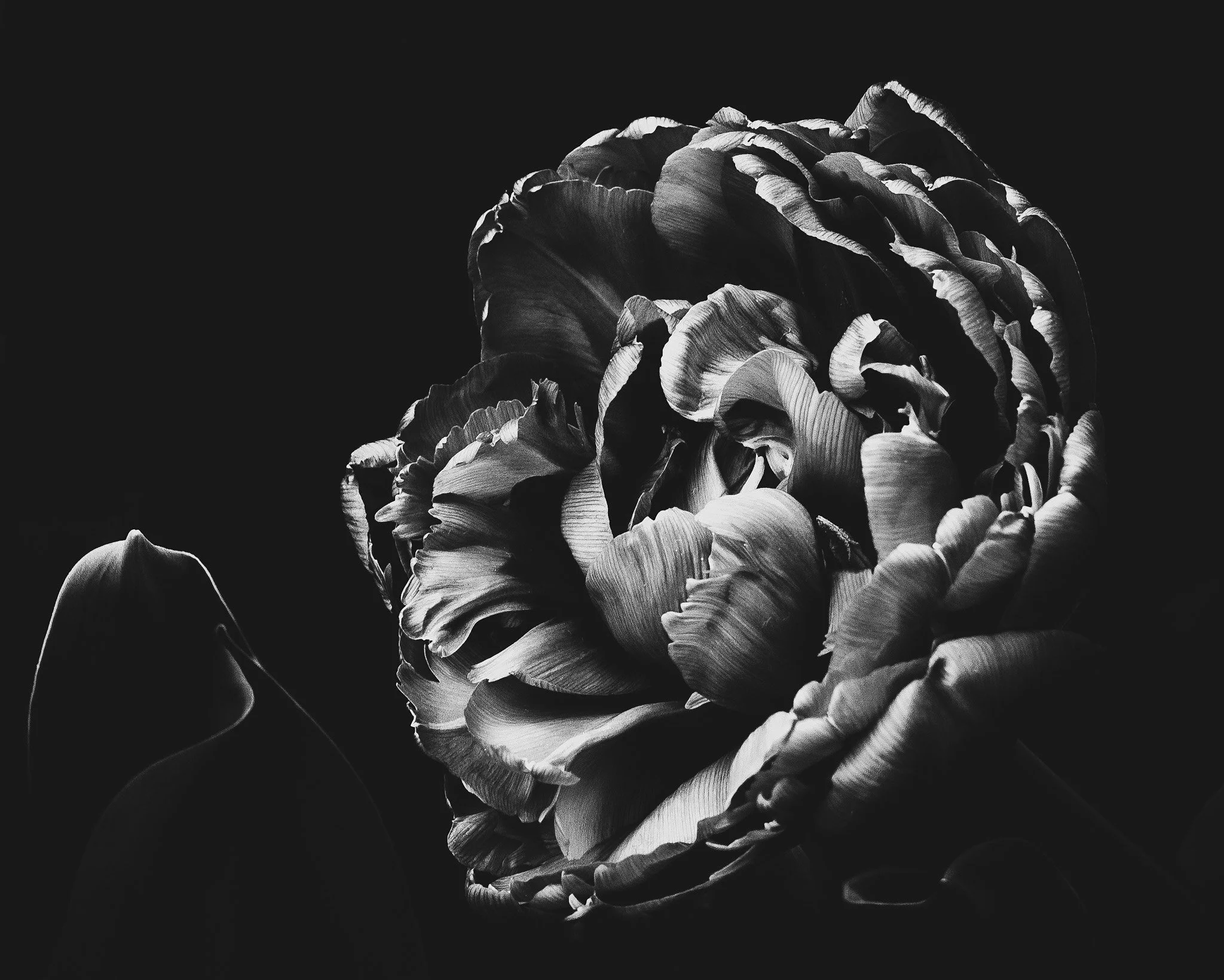 KATRISSE | Sensitive | Sensible