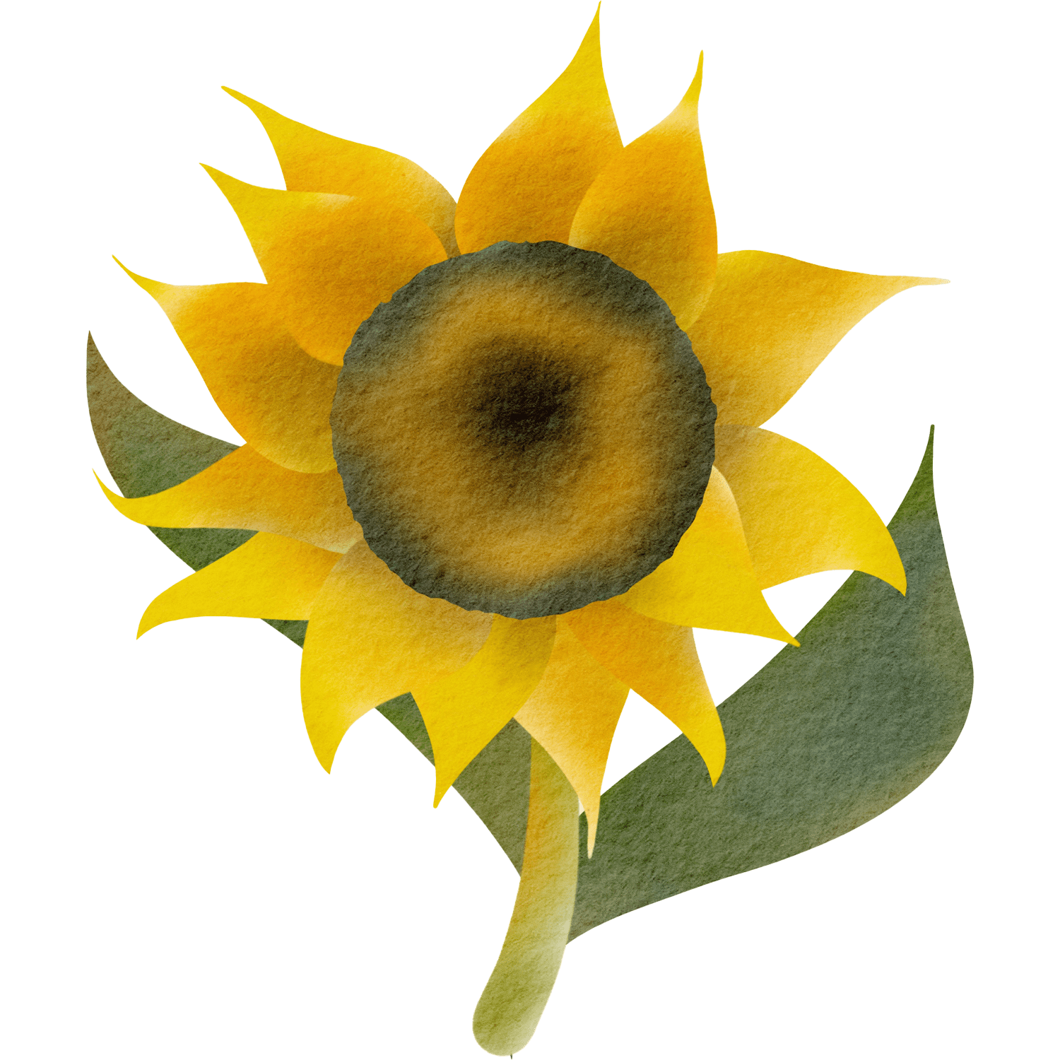 Sunflower.png