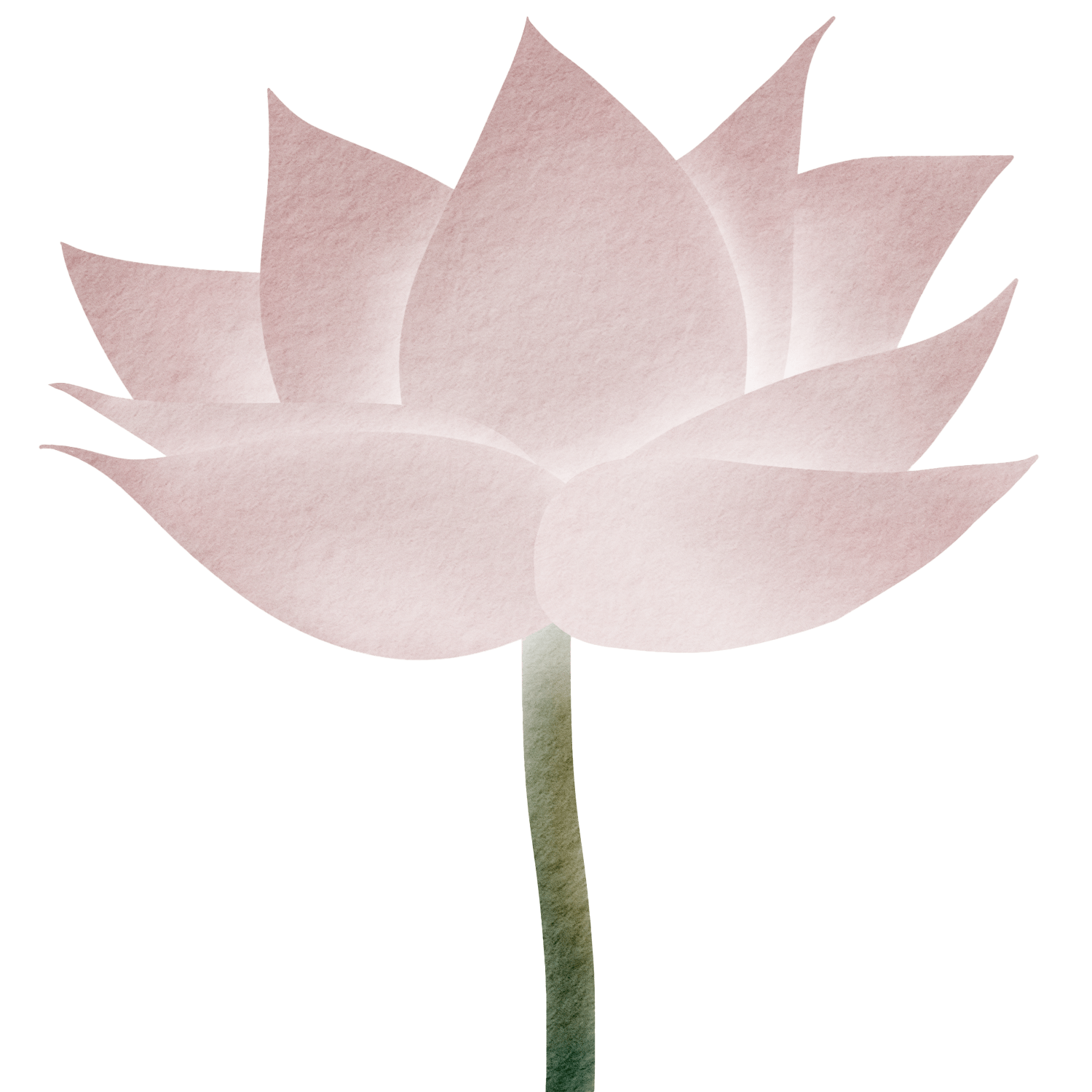 Lotus-Flower.png