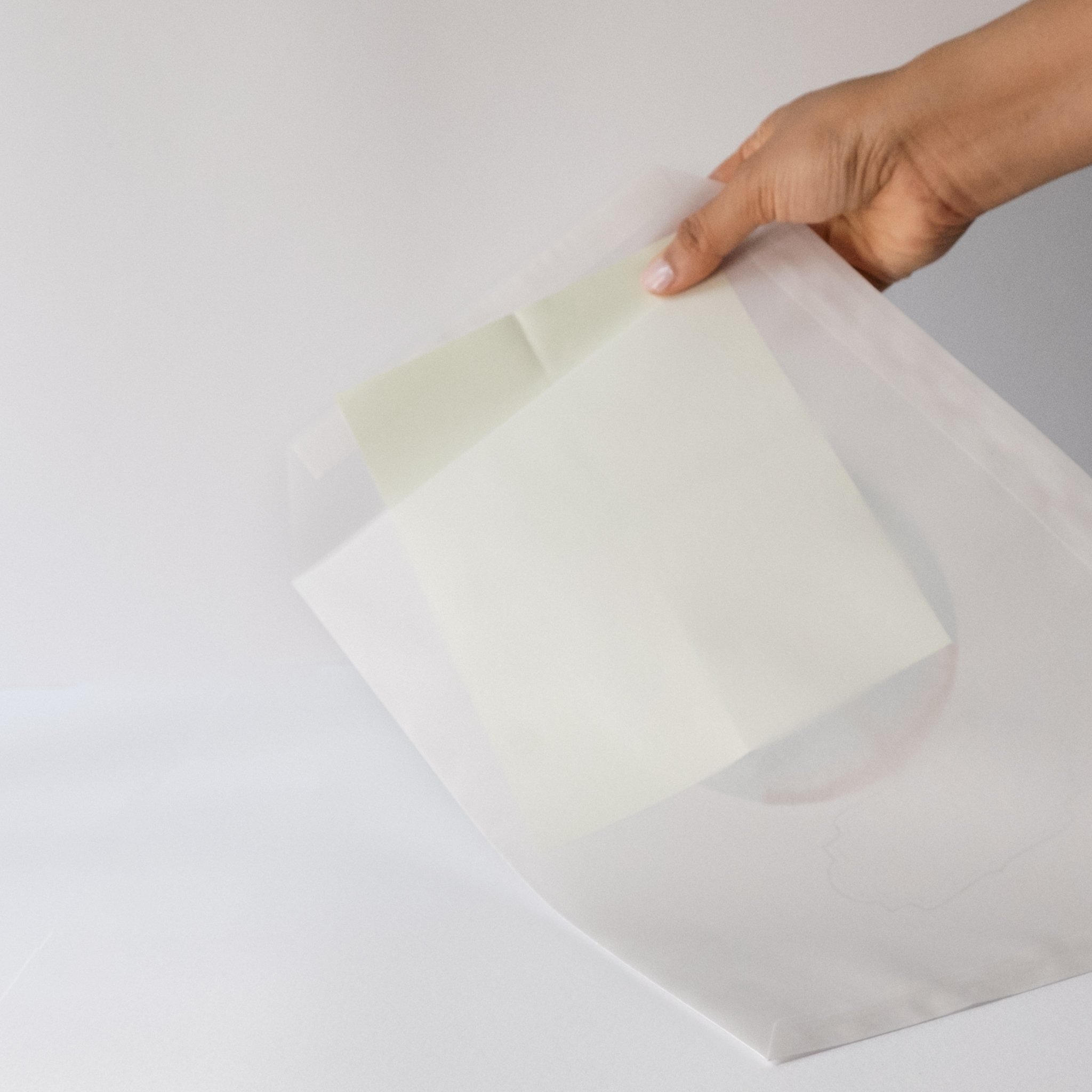 dsynoptics_dsyenveloves_envelope_c6_transparentenvelope_vellum_3.jpg