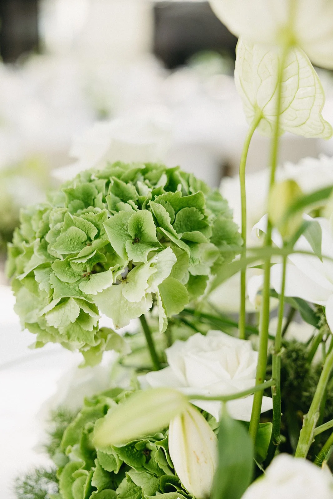 Tanner & Hannah Wedding _ The Glasshouse Kitchen & Bar -562_websize.jpg