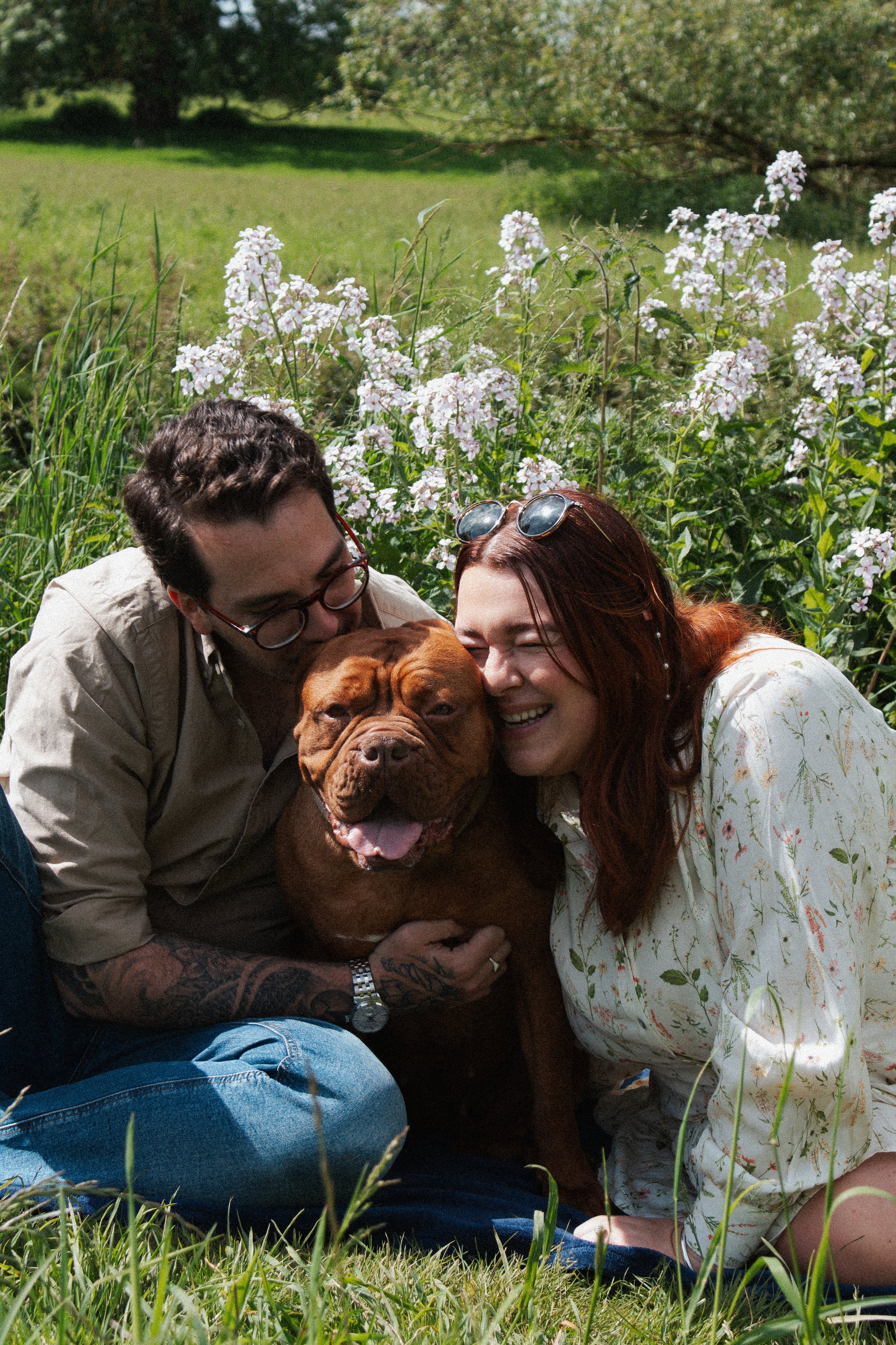 A smiling woman and man hugging a large brown dog with a backdrop of flowering bushes and trees in a grassy field.