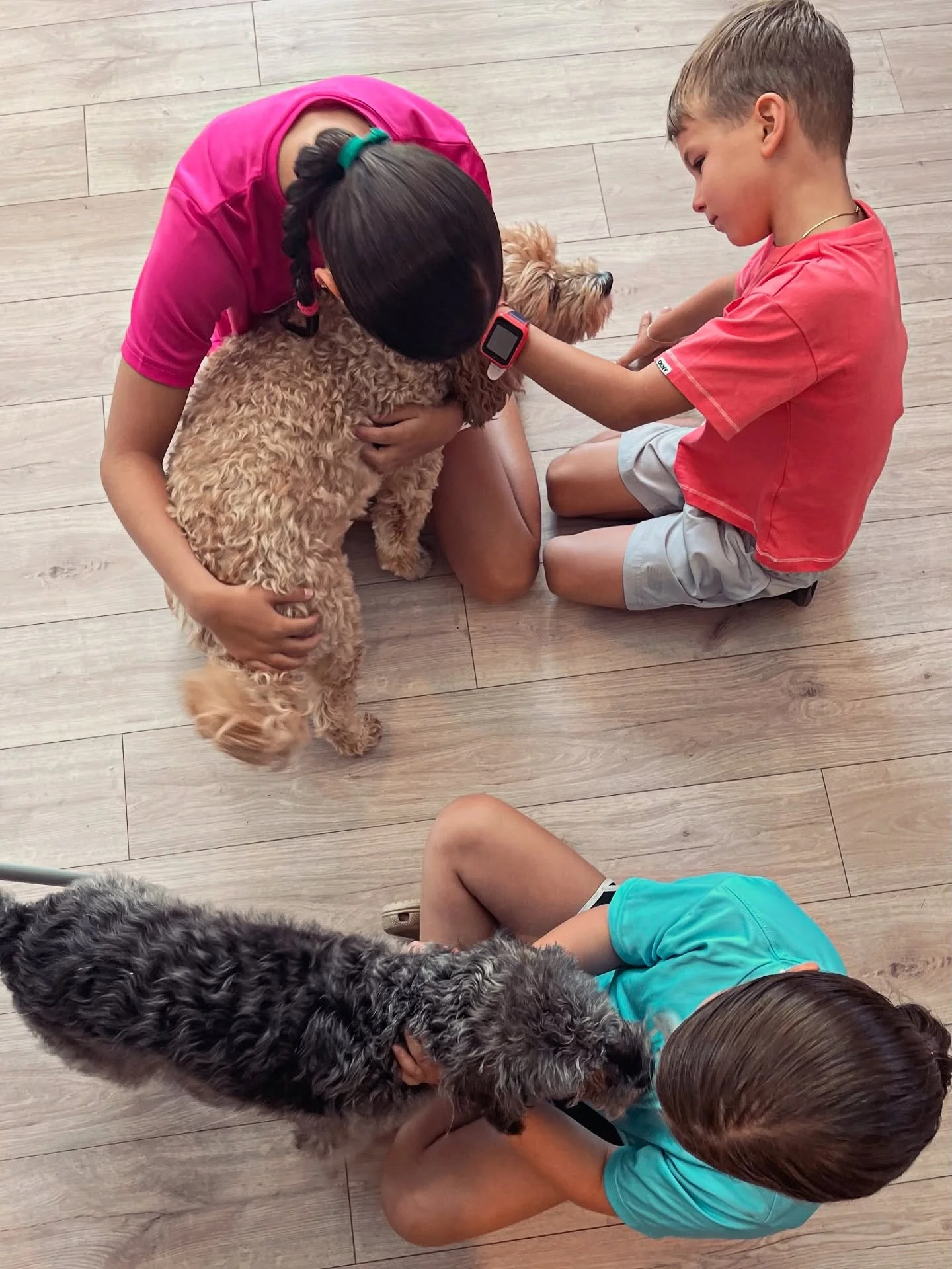 Our breakfast service ends at 9am every morning so naturally at 9:01 AM, dog lovers flood to our lobby to meet their favorite hosts, Molly + Bair 💗 🐶 

#dogfriendly 
#dogsofinstagram 
#besties 
#dogfriendlytravel 
#dogfriendlyhotel 
#intheberkshire
