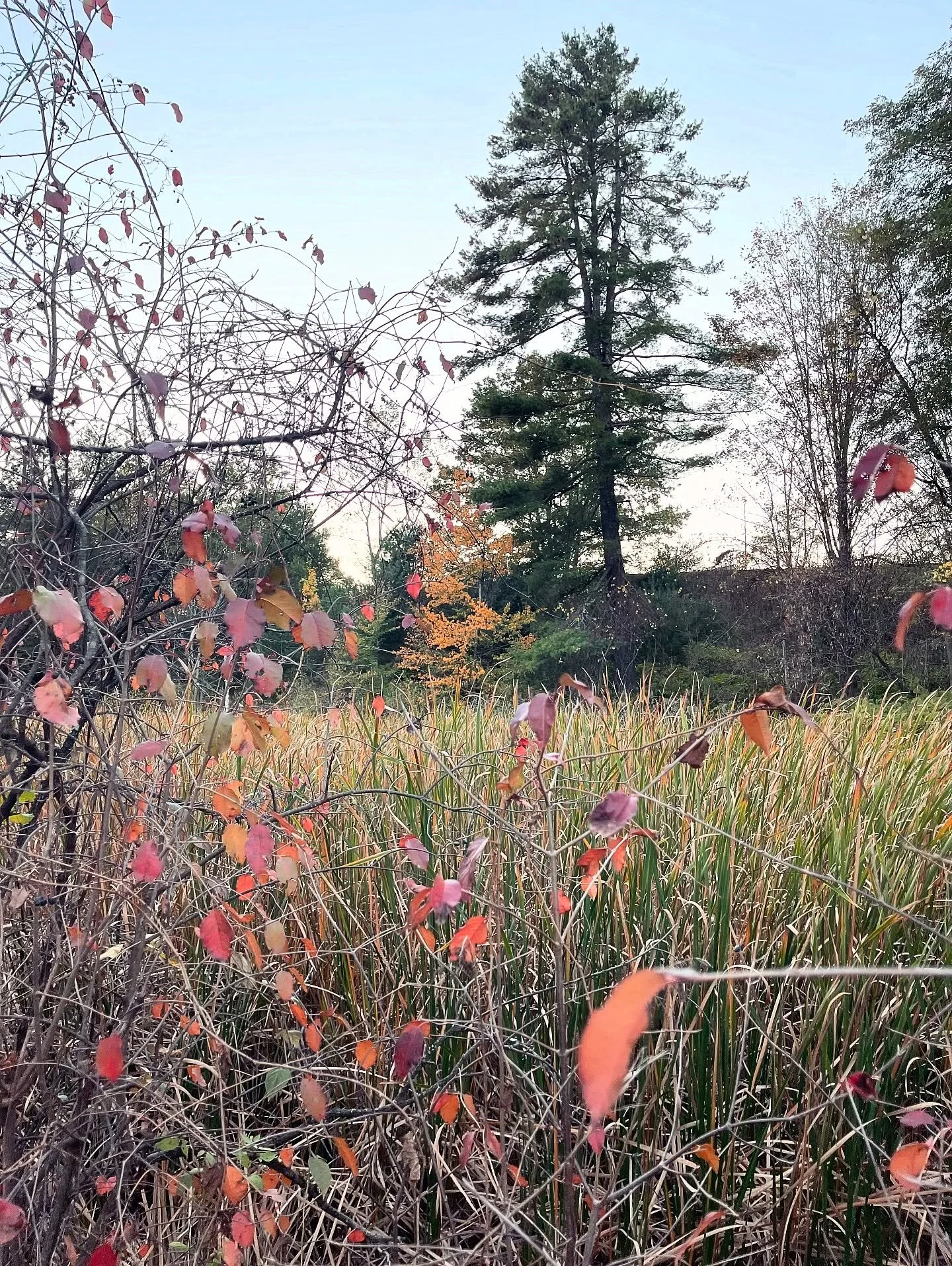 Be prepared to FALL in love if you visit the Berkshires this month 🍂 🤎