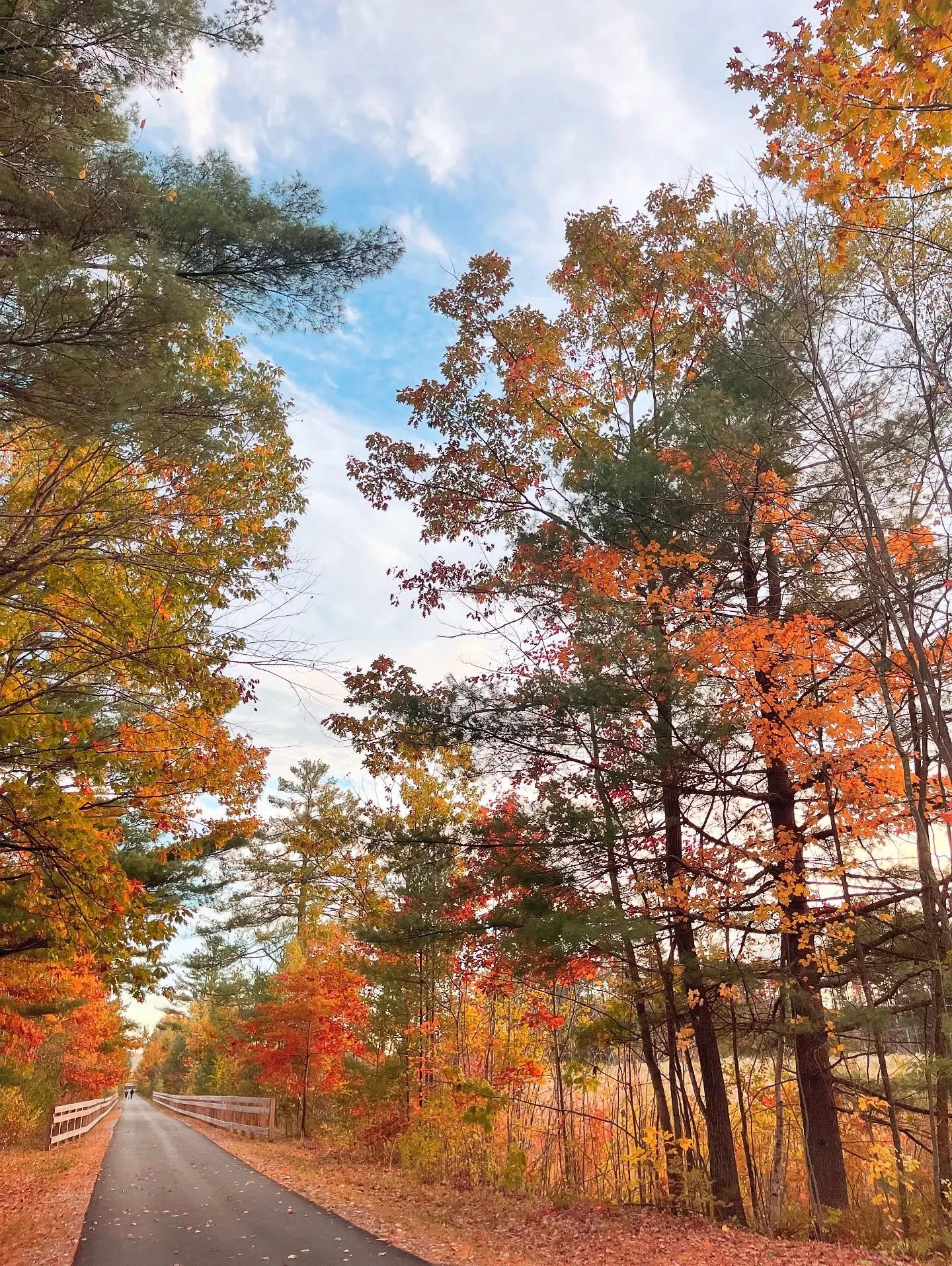 The most colorful walk in the Berkshires right now might just be the Ashuwillticook Rail Trail. 🍂 

Come and see for yourself.