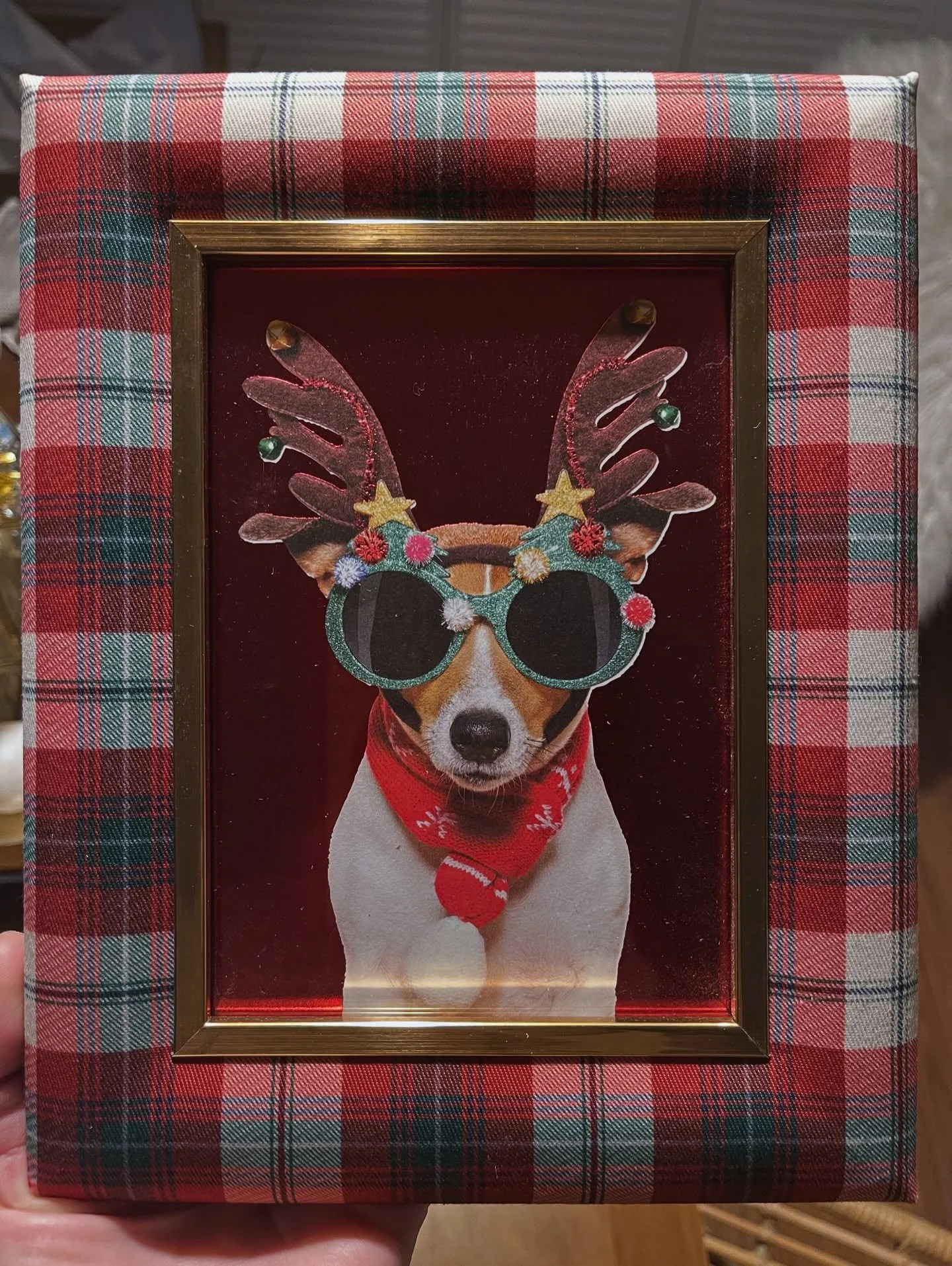 We&rsquo;re all about the little moments that make our guests smile. Talk about a perfect combo&hellip; this holiday frame and adorable holiday pup card we used for &ldquo;art&rdquo; 🎄🤶🏻

Come and spend the holiday season with us! 7&rdquo; on the 