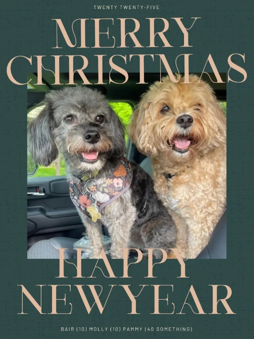 Merry Christmas with love &amp; gratitude &hearts;️

This season reminds us that family, good company, and feeling at home matter most. We&rsquo;re endlessly grateful to our guests who continue to show up, check in, and help keep this dream alive&hel