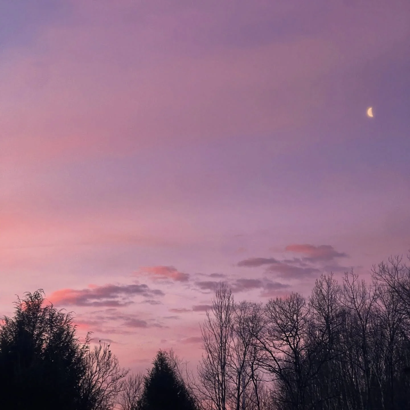 Good morning friends!!! The calm before the long weekend into February vacation week! We can&rsquo;t wait to see everyone. 

❄️ 🎿 ⛄️ 🏂 ❄️