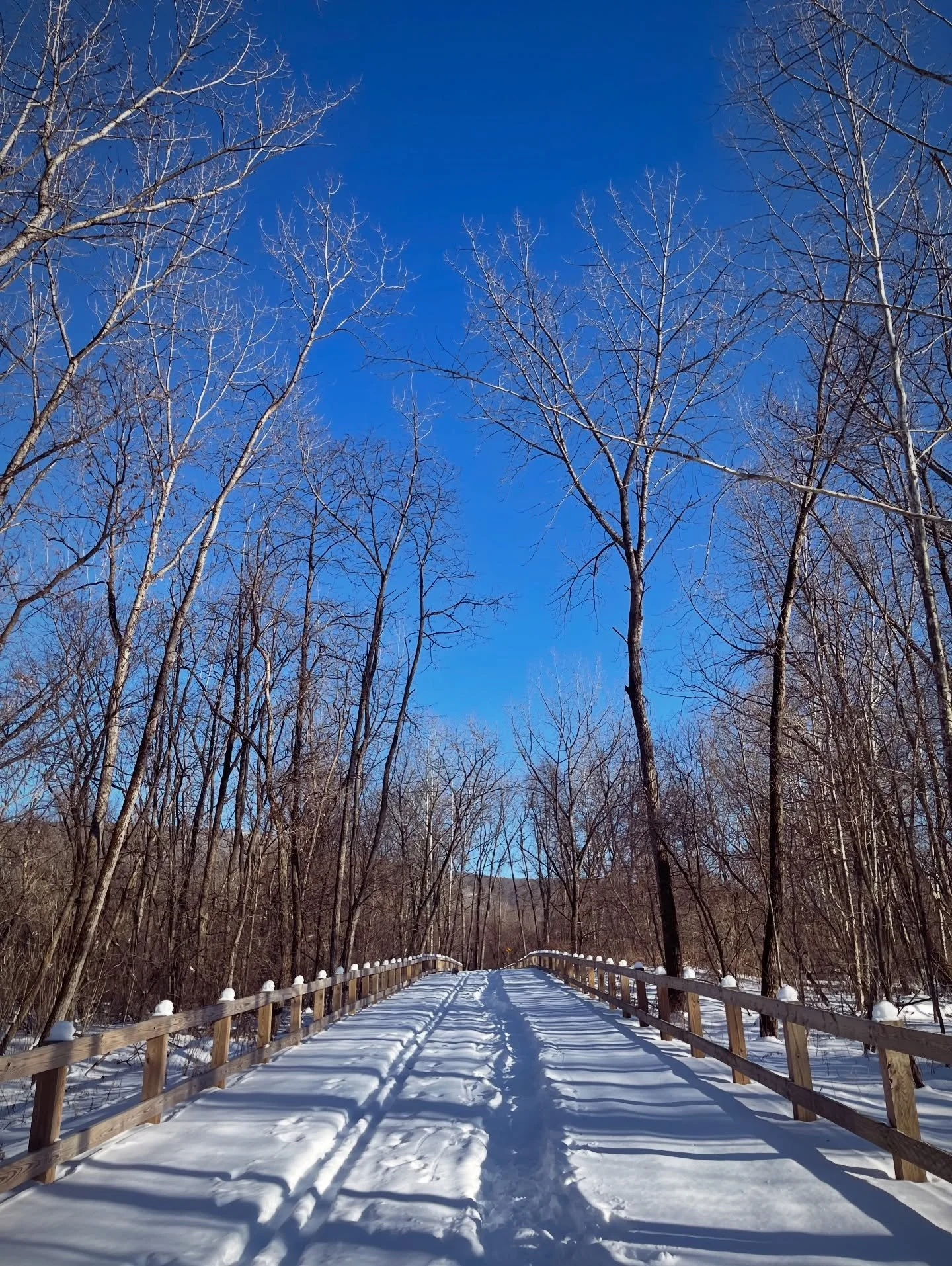Quick + Balmy walks are what we&rsquo;re living for on these sunshine days. Could only do 20 minutes until the paws were too cold but it was worth it!