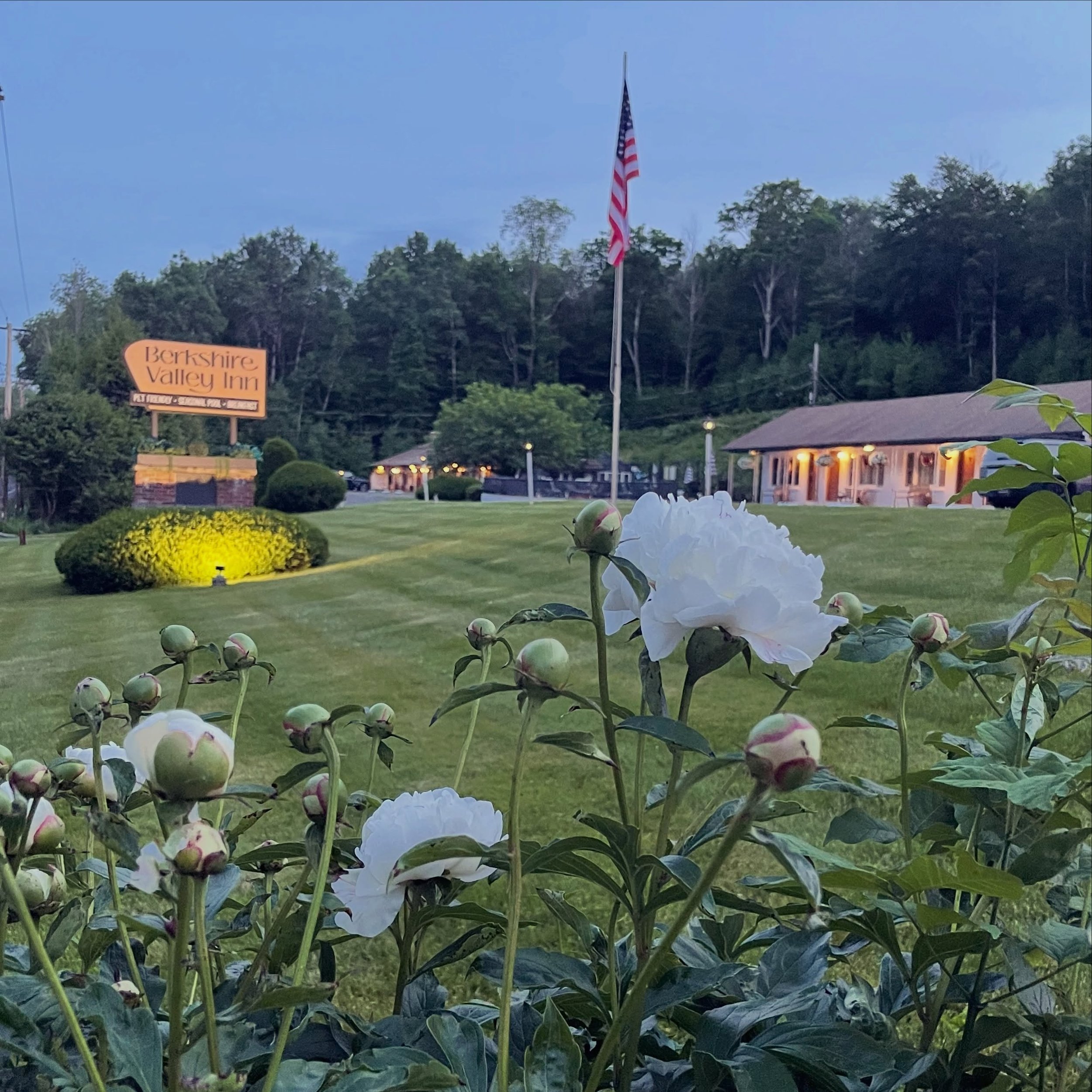 The peonies are popping 
Yoga Festival 
Williams Alumni weekend 
The humidity has also blessed us with its presence 👌🏻 

Happy Summer Ya&rsquo;ll

#intheberkshires