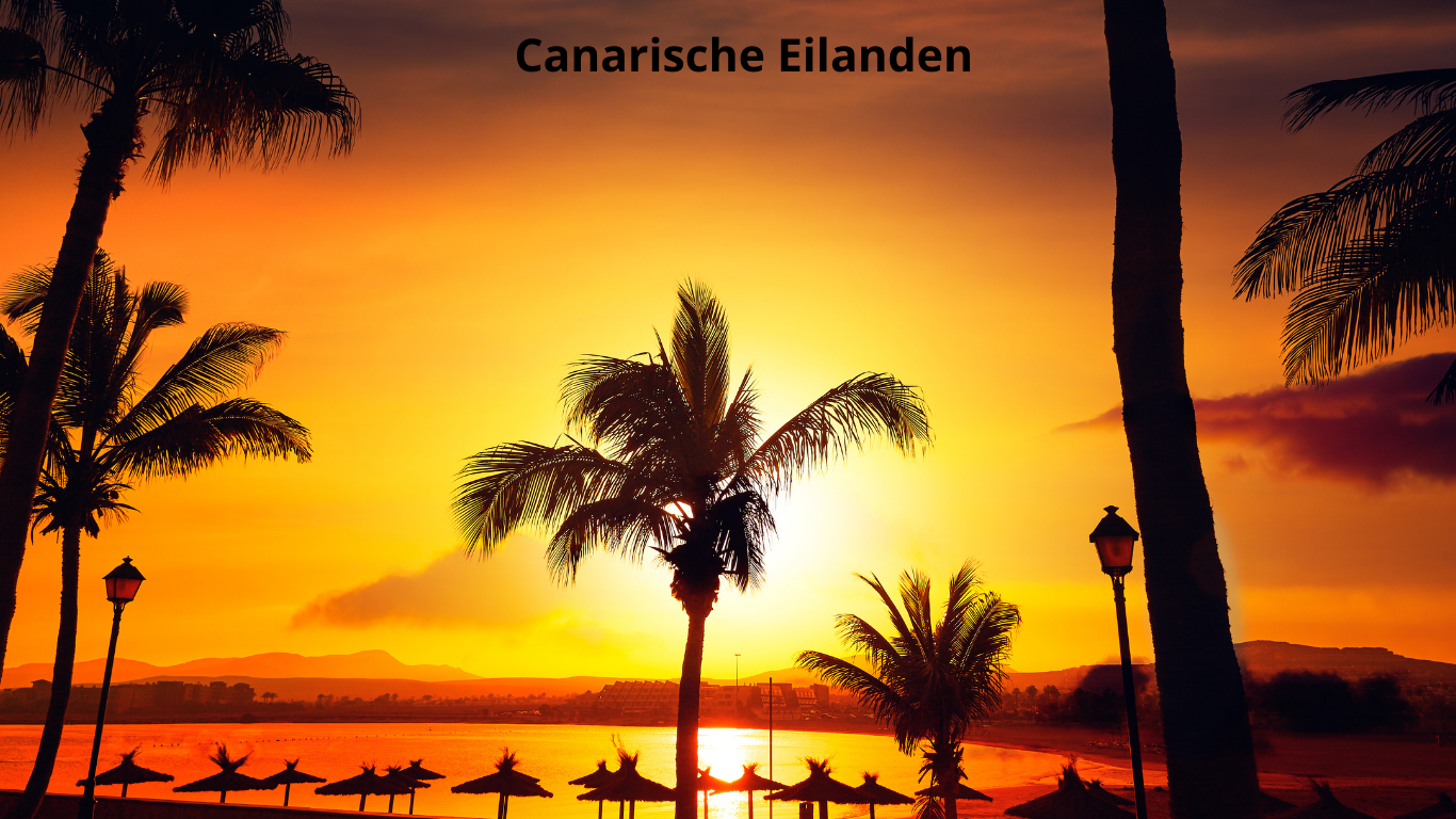 ⭐Zonvakantie in februari deze bestemmingen zijn warm, relaxed en kindvriendelijk