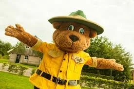 Vrolijke beren mascotte in een ranger outfit met hoed, geel shirt en kaki broek. De mascotte staat buiten bij bomen en een gebouw en is onderdeel van animatie en entertainment voor kinderen op een kindvriendelijk vakantieparken van Landal.