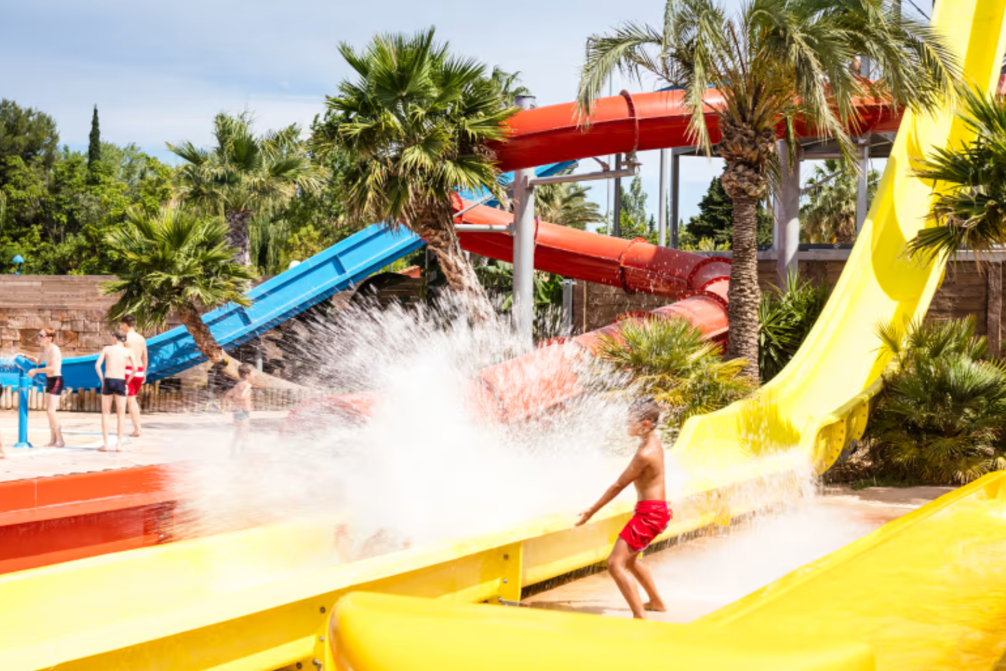 Children playing on wet water slides at a water park with palm trees and green foliage in the background.