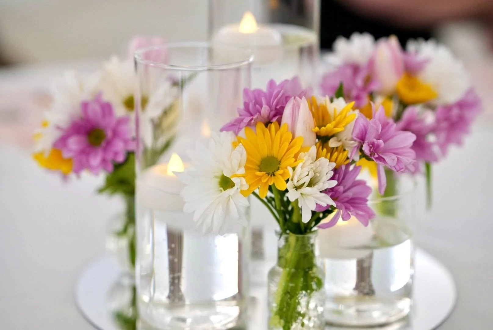 Vermilion Advantage & Berry's Florals