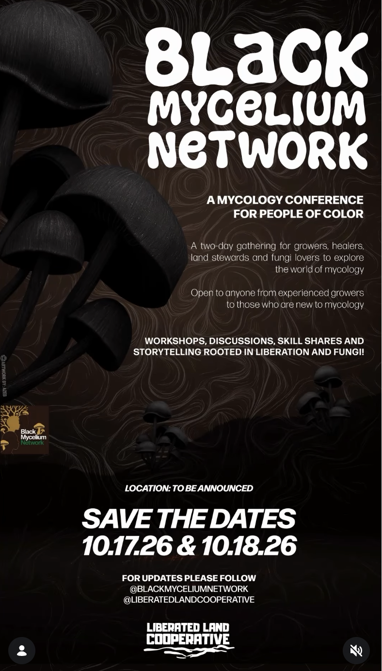 Black Mycelium Network