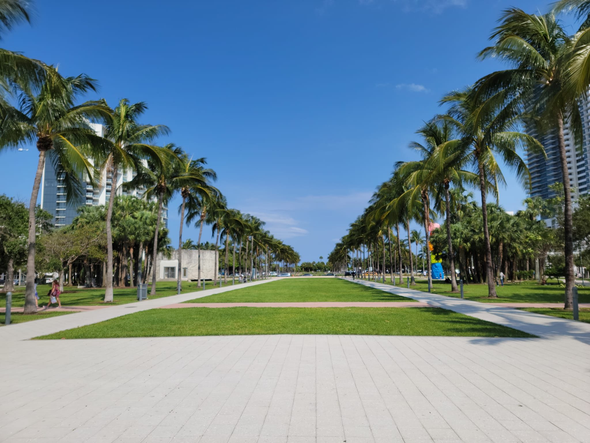 Business Consulting in Miami: What Changes When the Company Finally Tells the Truth