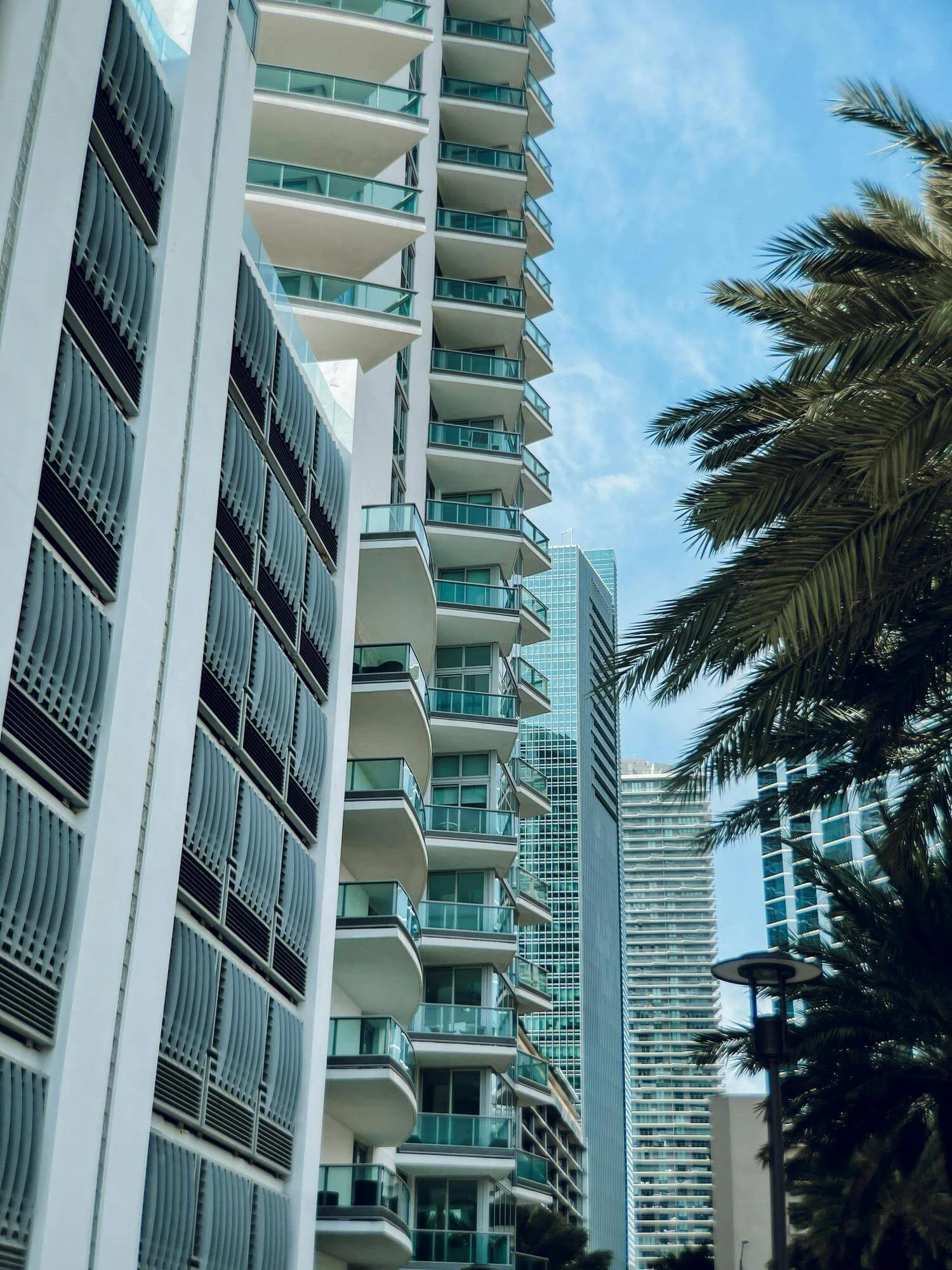 miami buildings with palm trees