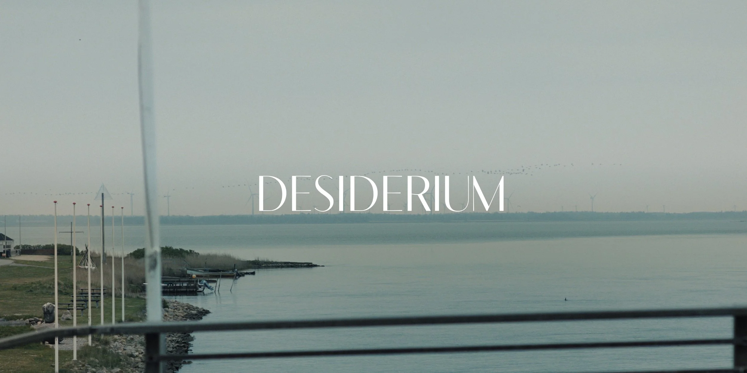 Still 2025-08-28 212814_1.1.3.jpg