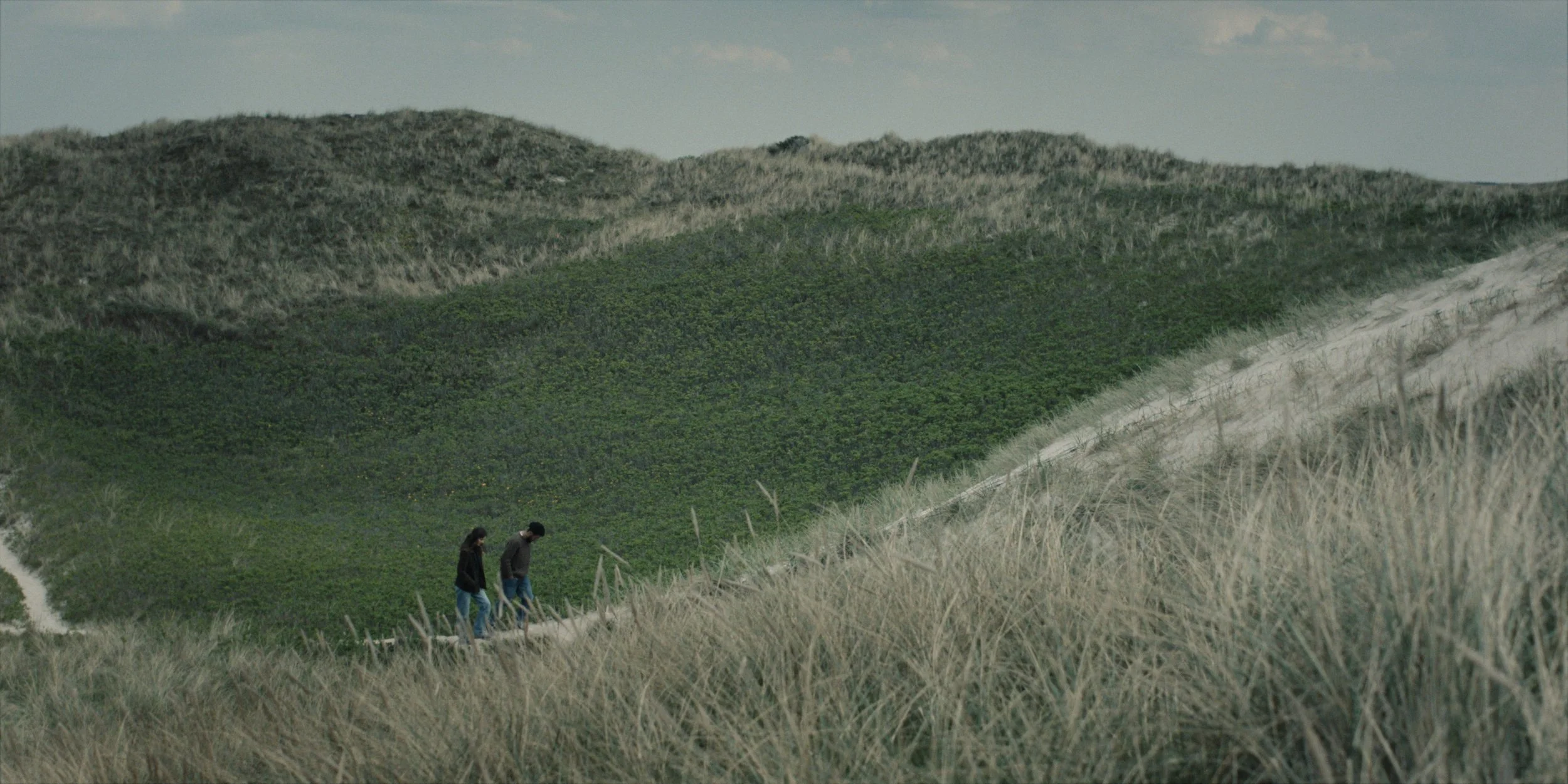 Still 2025-08-28 212814_1.1.36.T.jpg