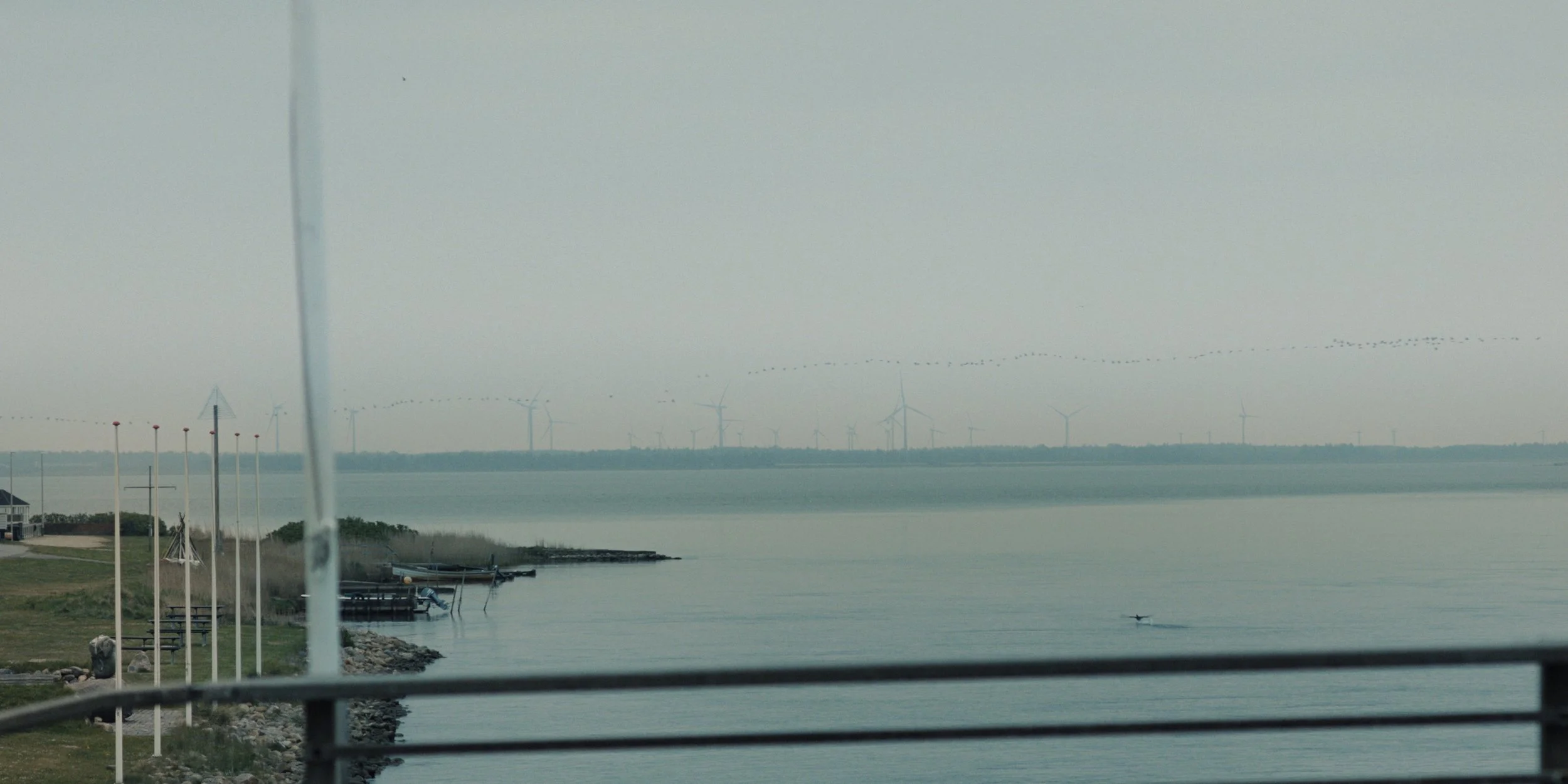 Still 2025-08-28 212814_1.1.4.jpg