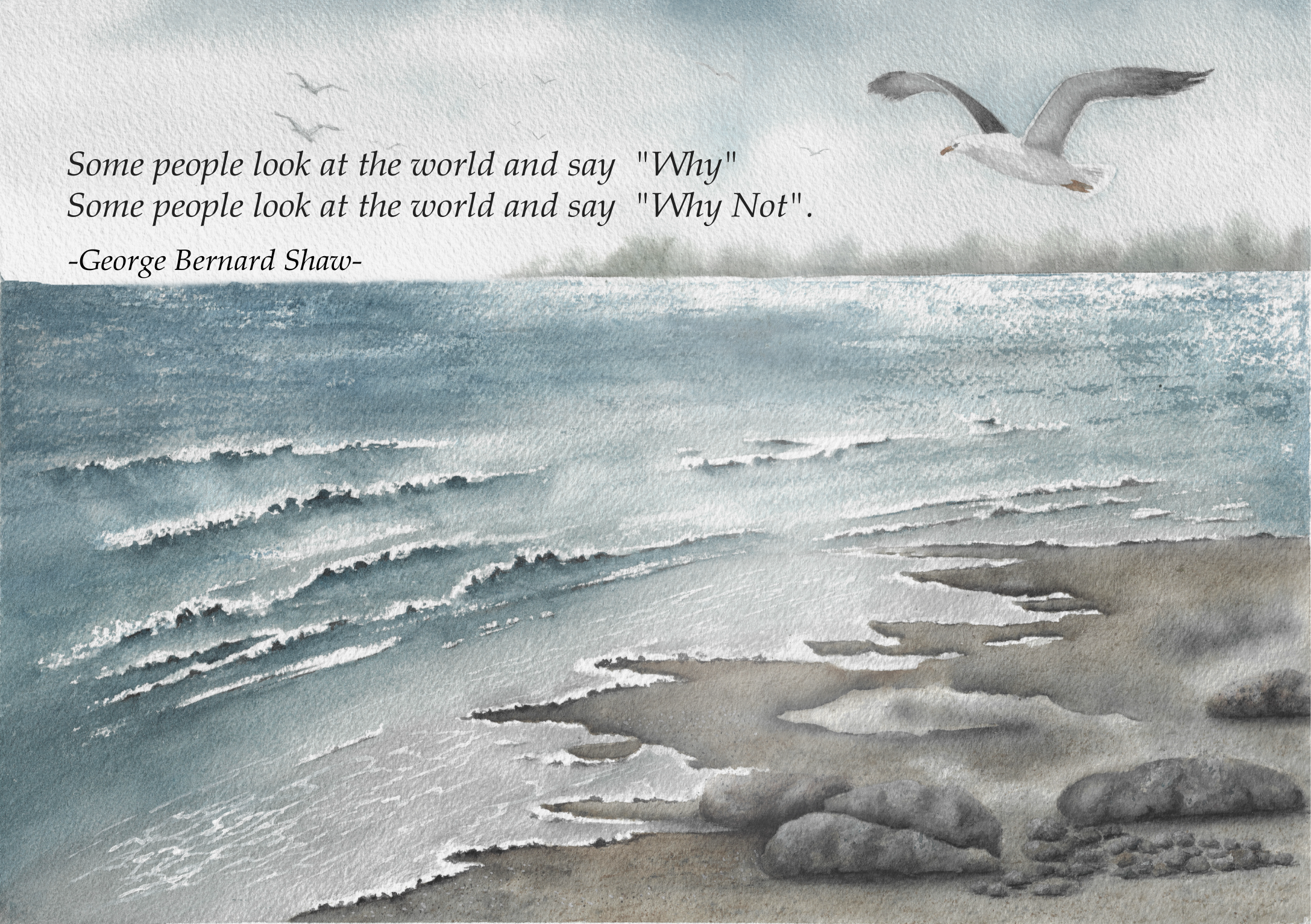 Ride the Wind: NO3B