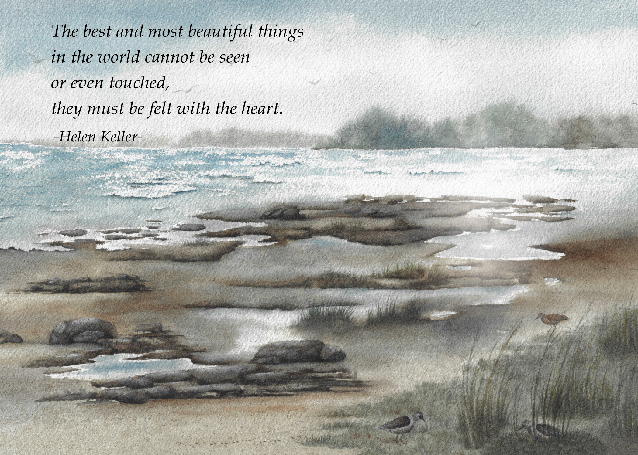 Solitude:  NO4B