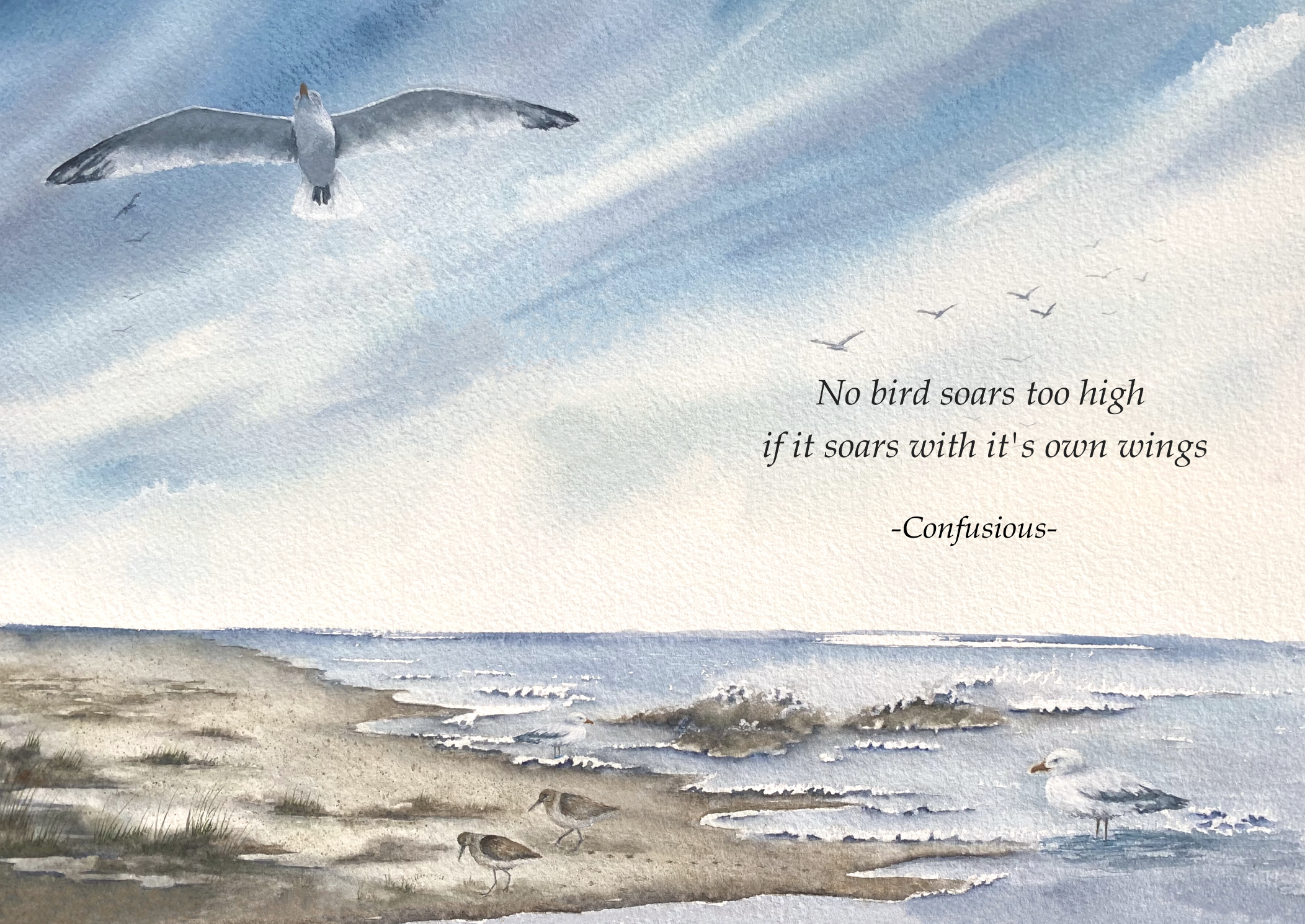 Take Flight:  NO5B